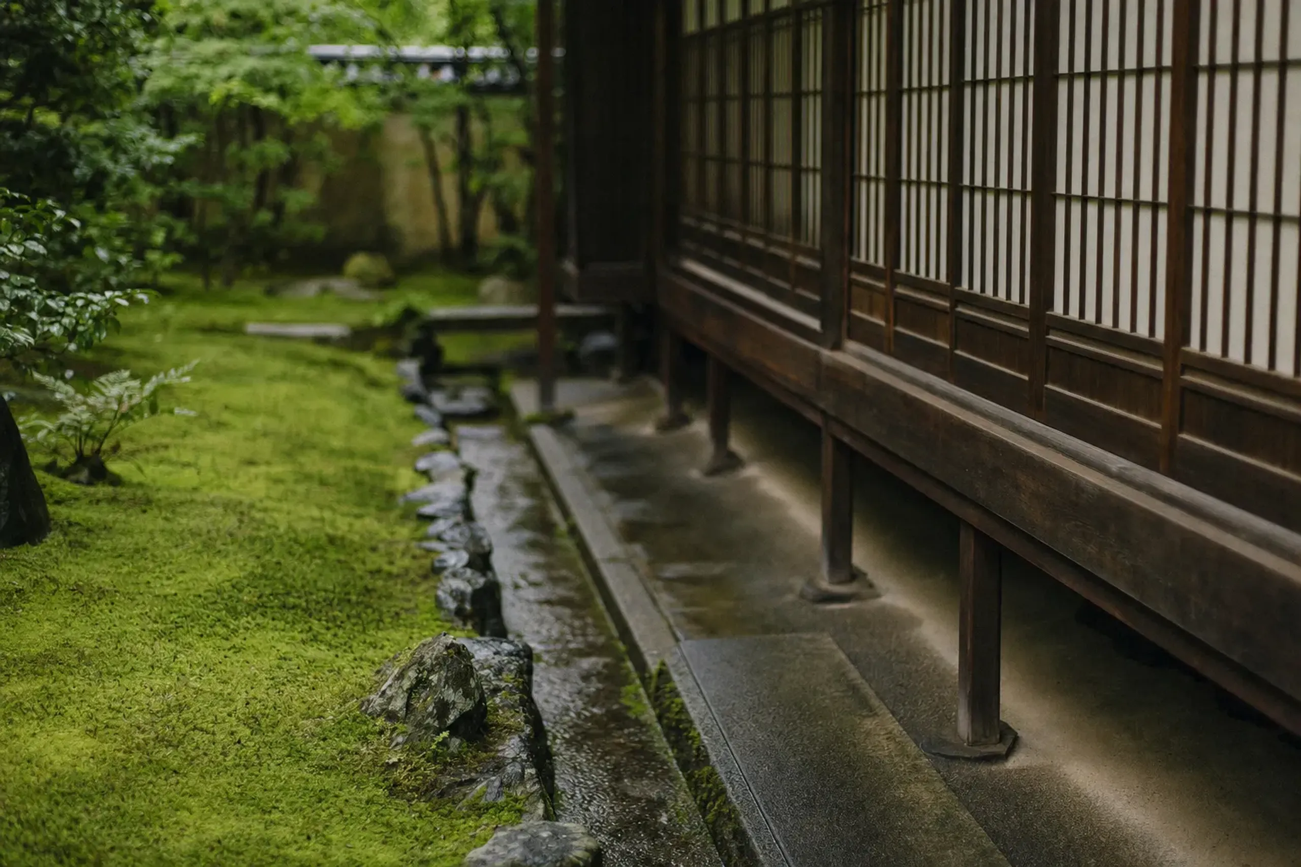 The small moss garden named the Kerry Hill Garden near the entrance of Aman Kyoto, a quiet patch of tended green beside long horizontal timber lines and kōshi latticework