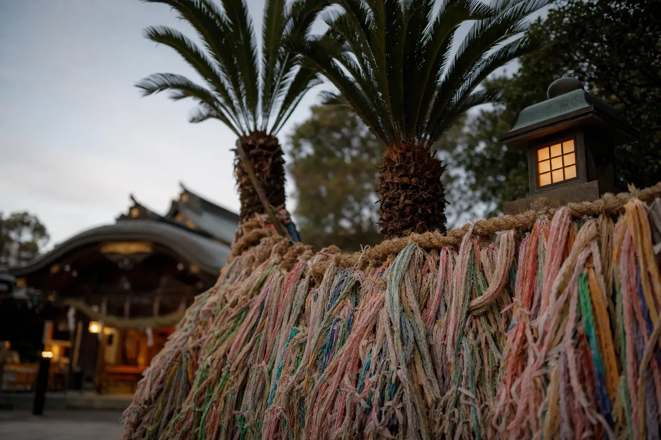 the Meoto Biroo intertwined pair of fan palms hung with colored paper Musubi Koyori cords at Aoshima Shrine
