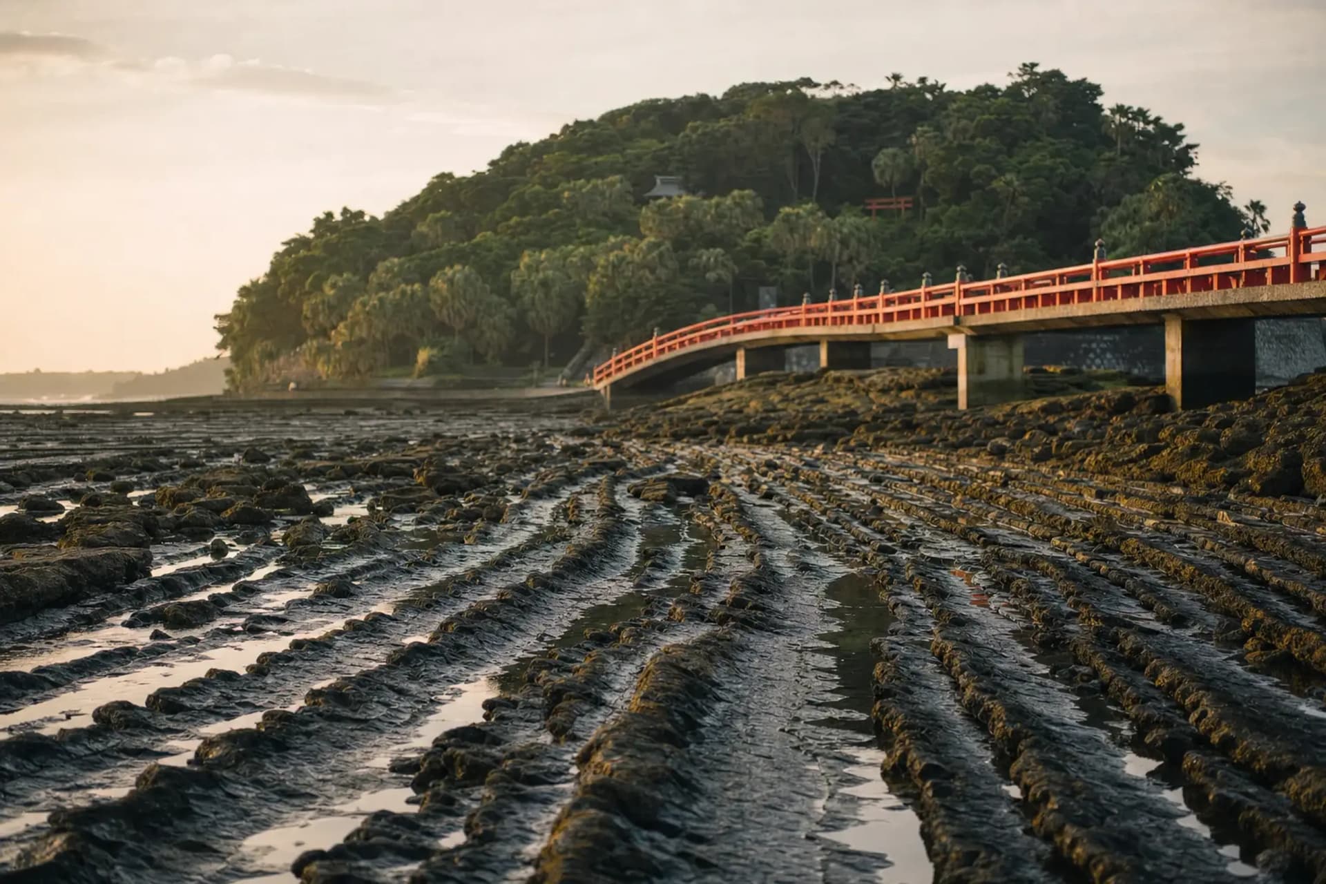 Aoshima Shrine & Oni no Sentakuita: Quiet Miyazaki Island