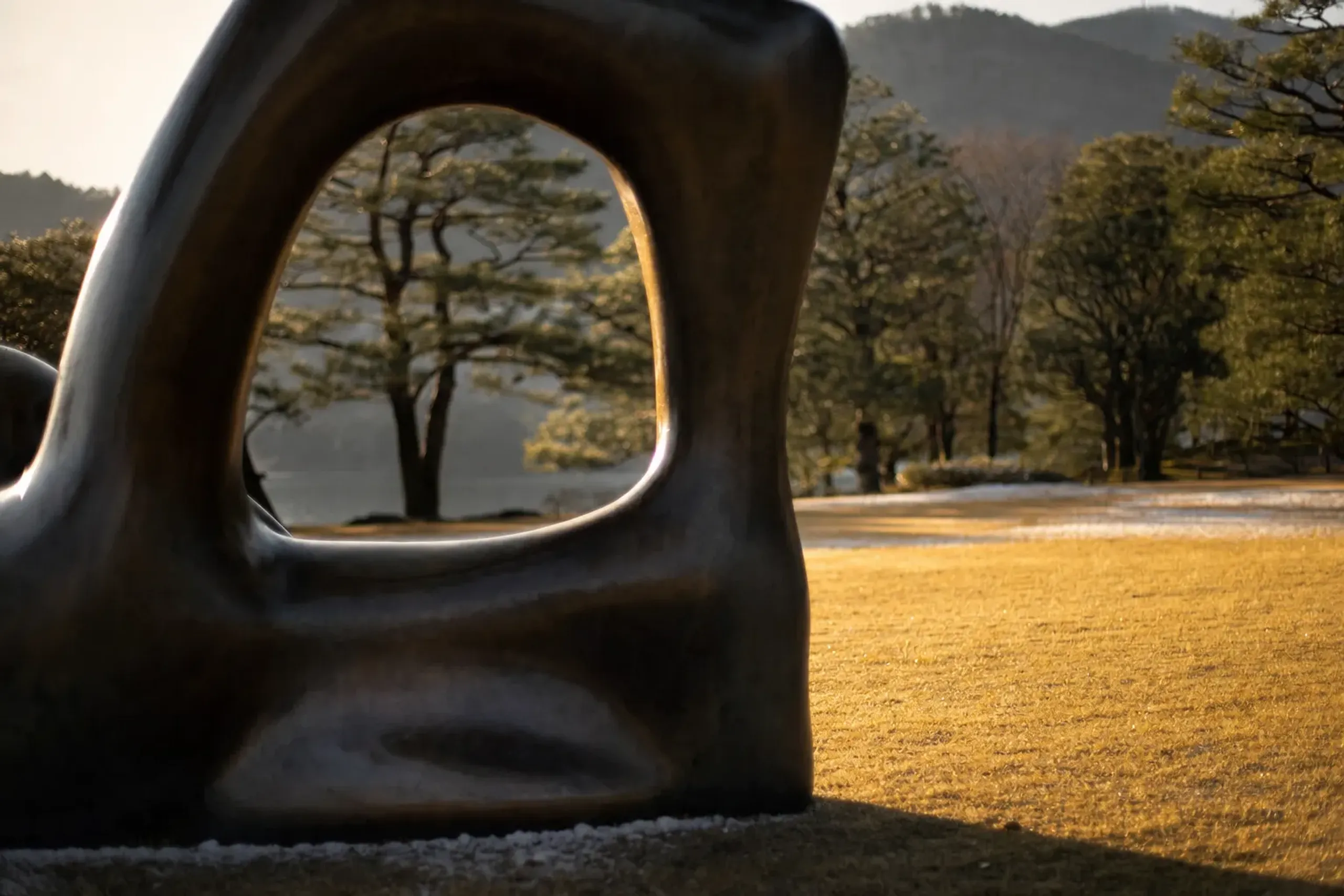 A large Henry Moore reclining bronze sculpture with light catching its curved surfaces and negative space, standing on the open lawn against a backdrop of pine trees at the Hakone Open-Air Museum