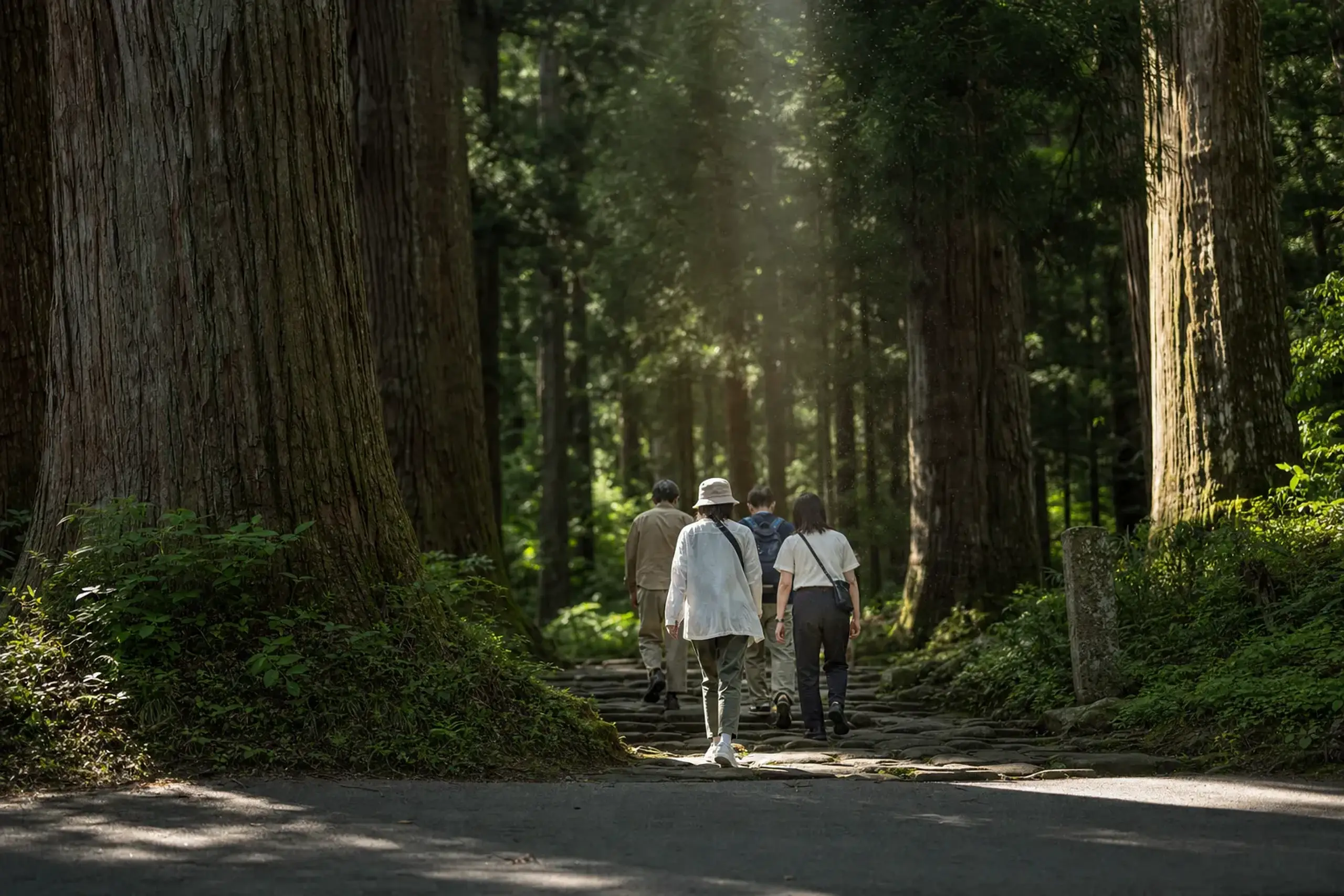 For most summer visitors, riding up by road and walking