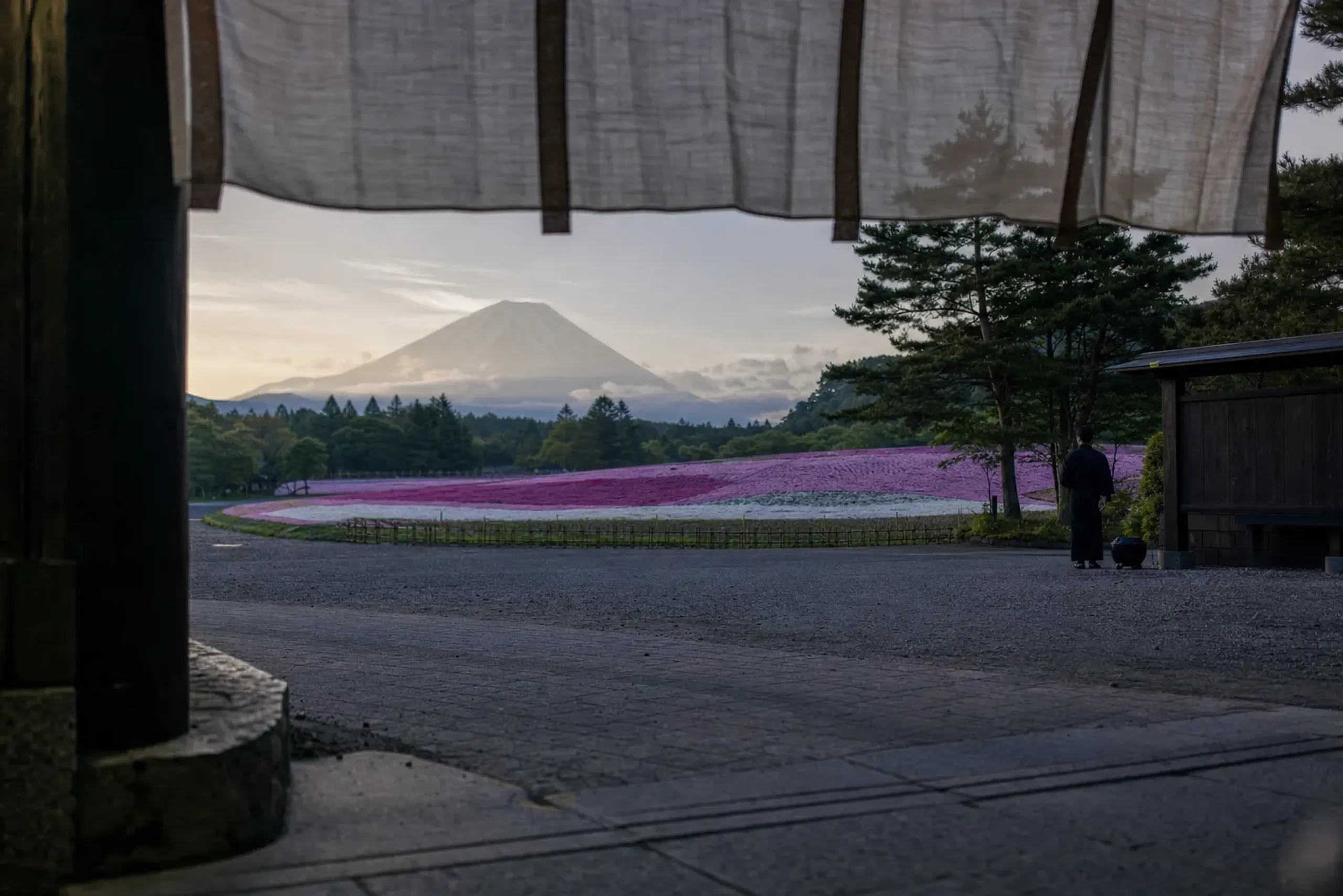 The Fuji Shibazakura Festival entrance gate at Fuji Motosuko Resort with the pink-and-white slope visible beyond