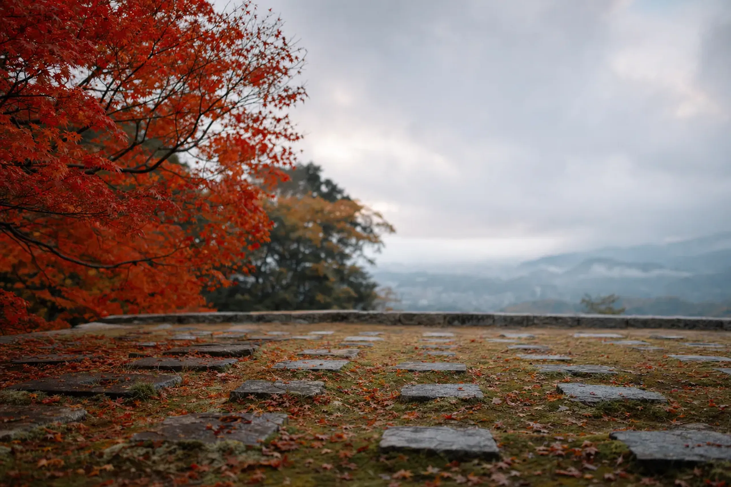 The empty keep platform of Fukuoka Castle with surviving pillar stones set in grass under open sky