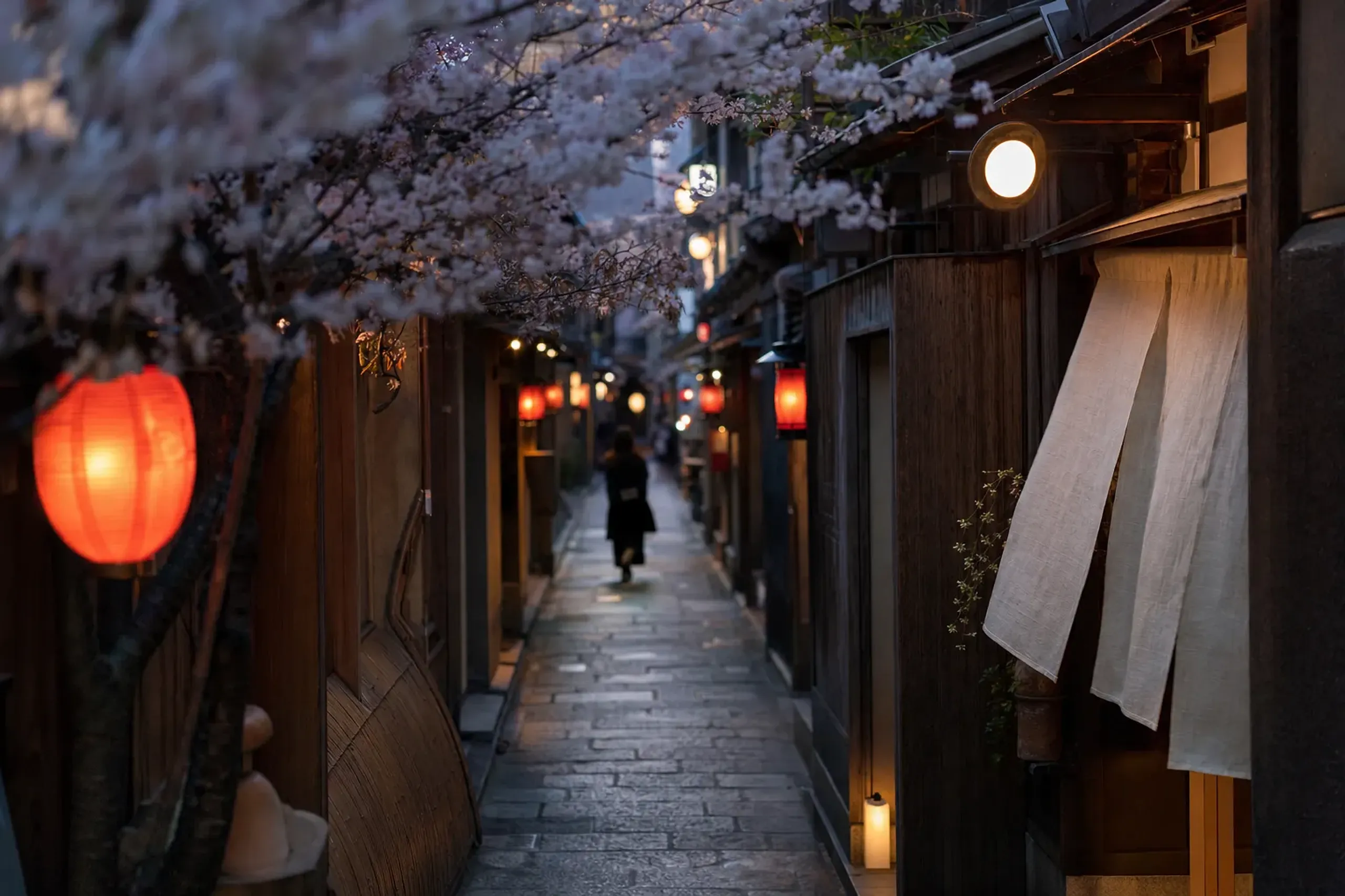 The single narrow lantern-lit lane of Pontochō running alongside the Kamo River, lined with restaurant frontages