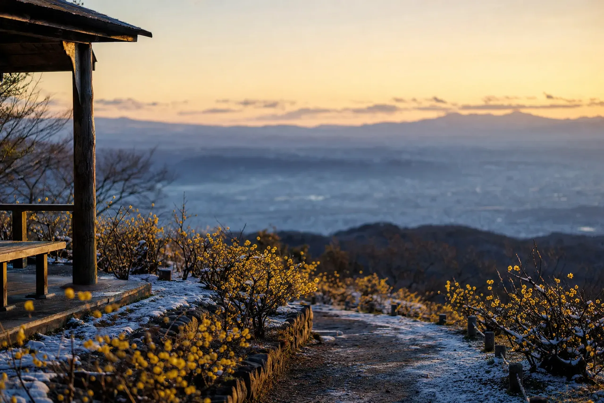 The summit pavilion at Hanamiyama at dawn, low morning light over empty flower-lined paths, looking across Fukushima City toward the Azuma mountains