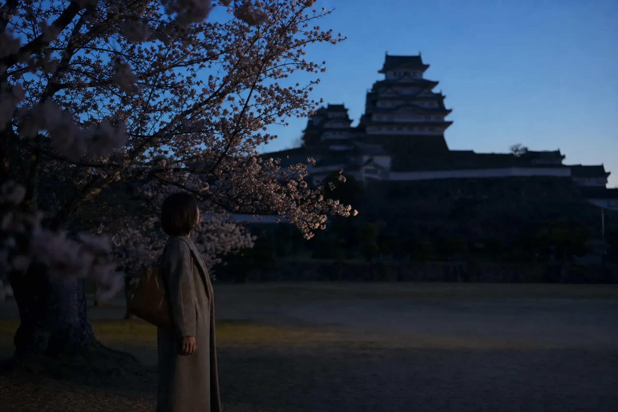 In our experience, most disappointment at Himeji in blossom