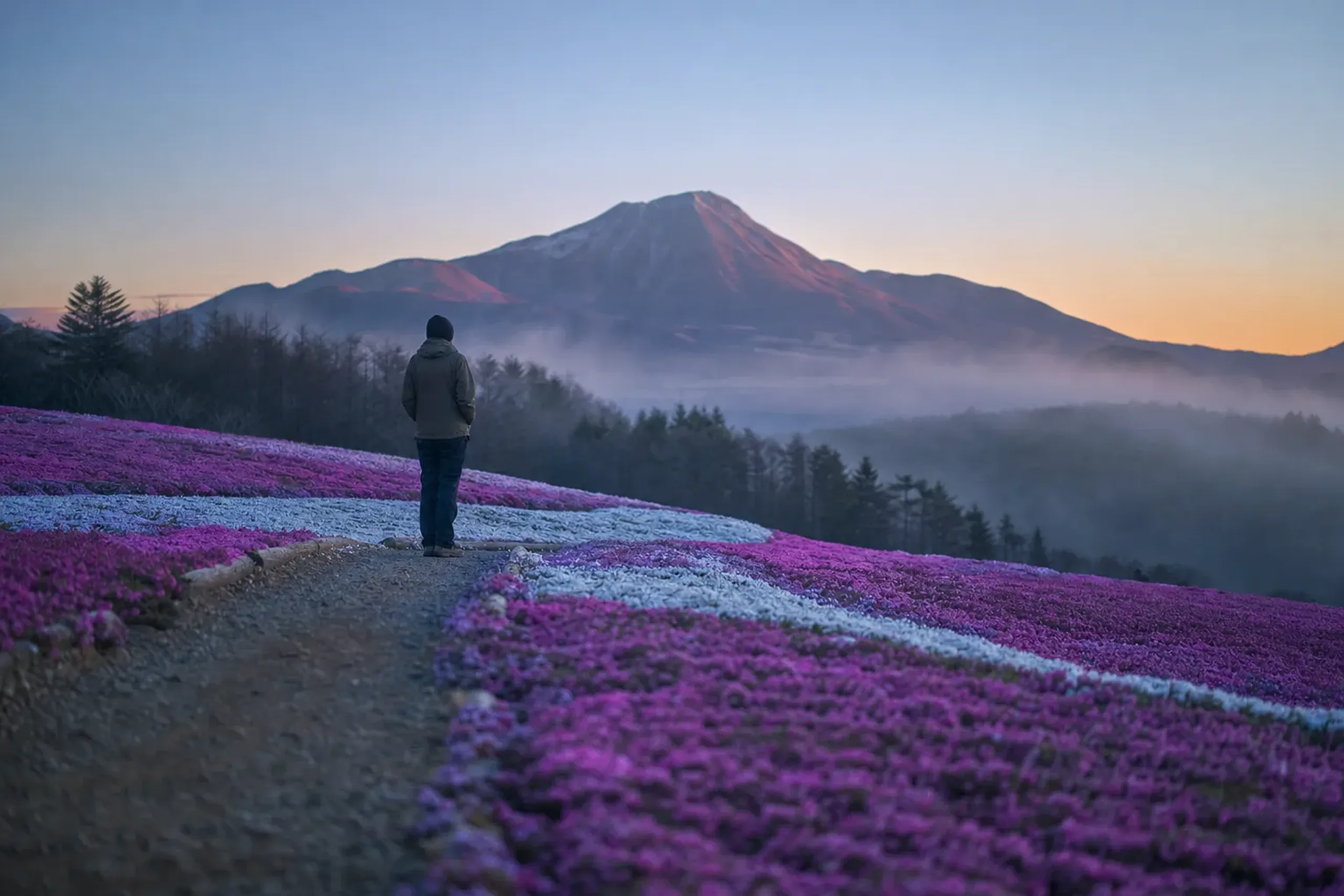 A calm visit is built by stacking small choices: early