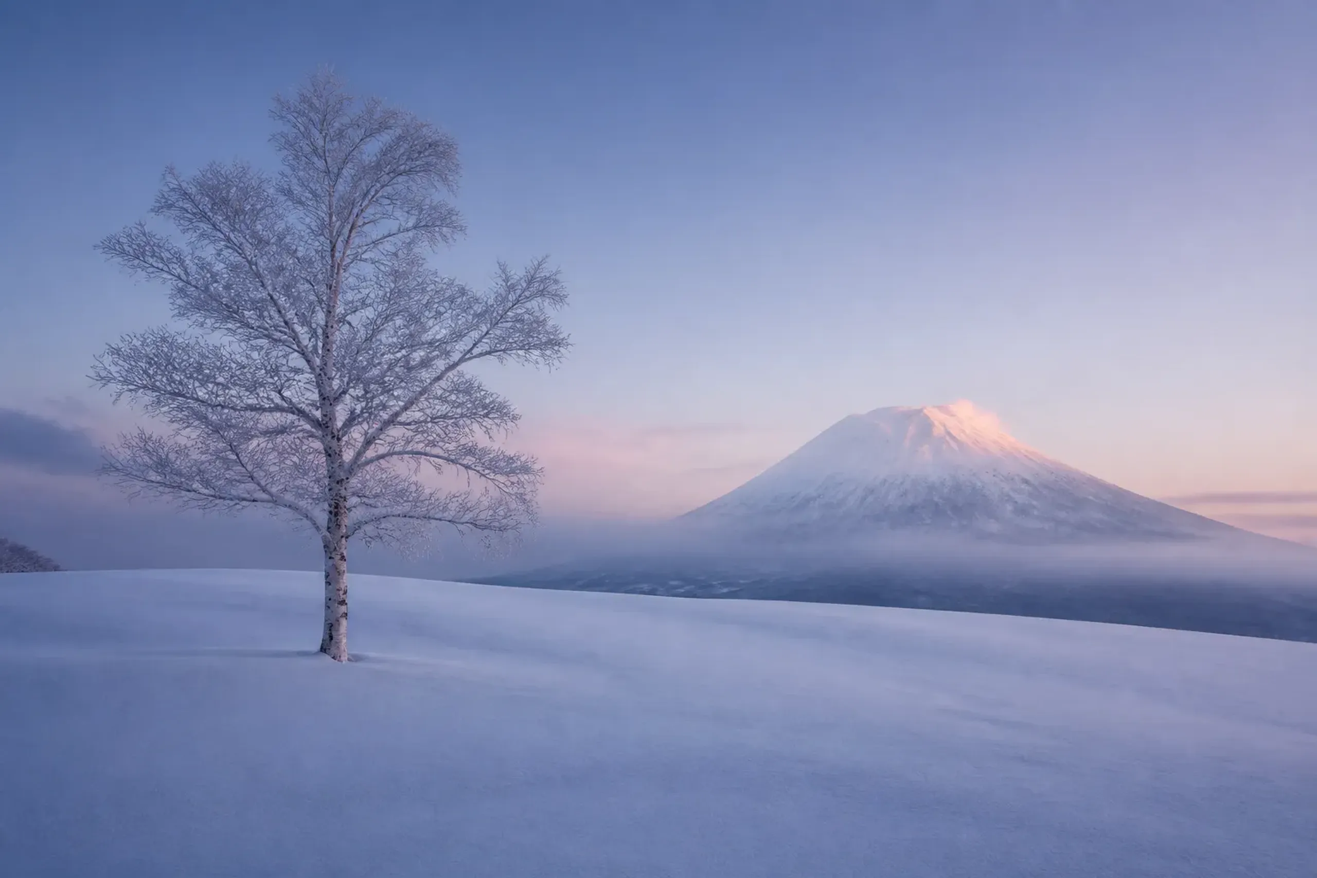 Niseko, Furano, or Kiroro: Choosing a Hokkaido Ski Base