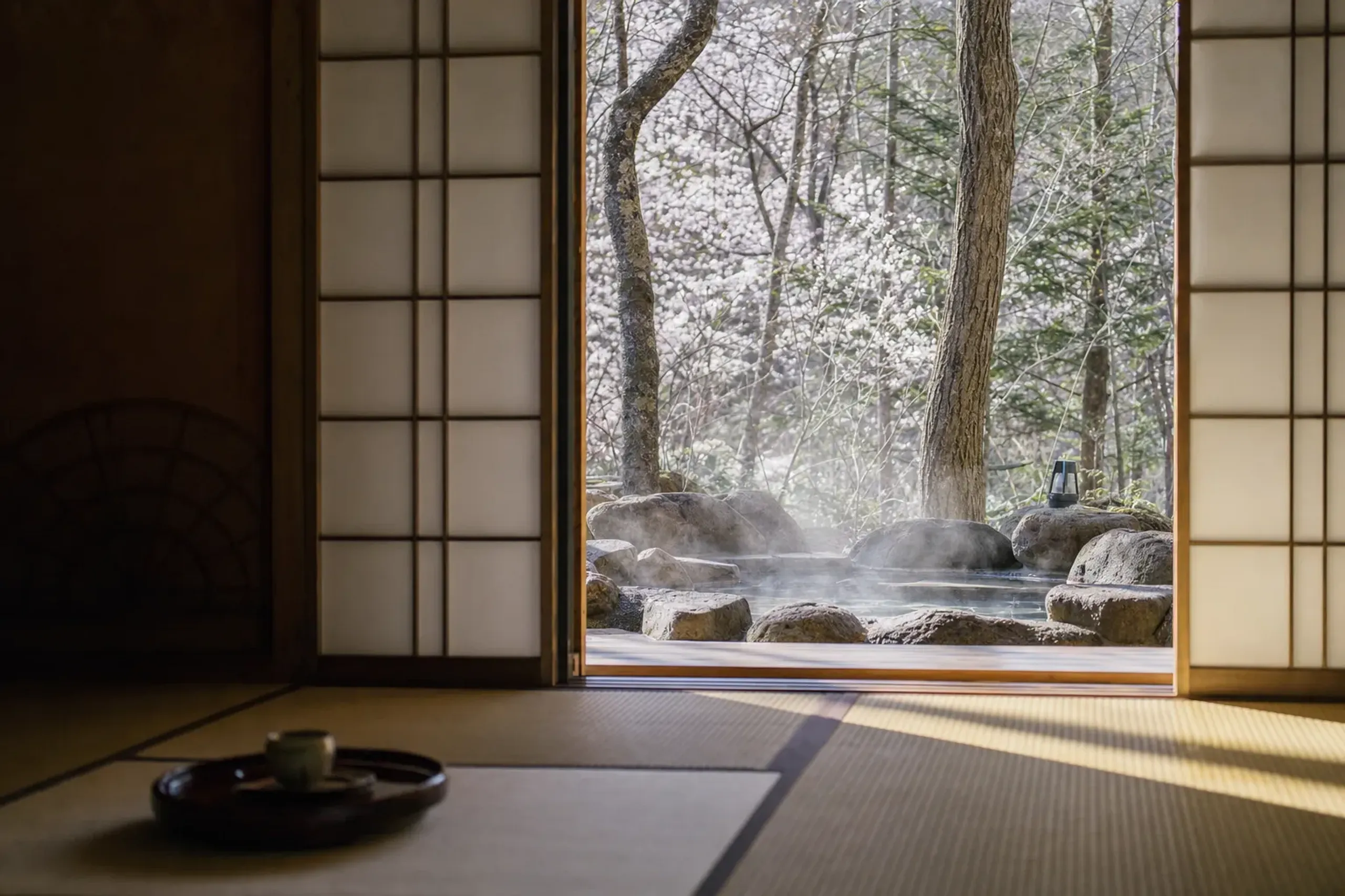 Traditional Japanese room looking out at a green forest and outdoor bath