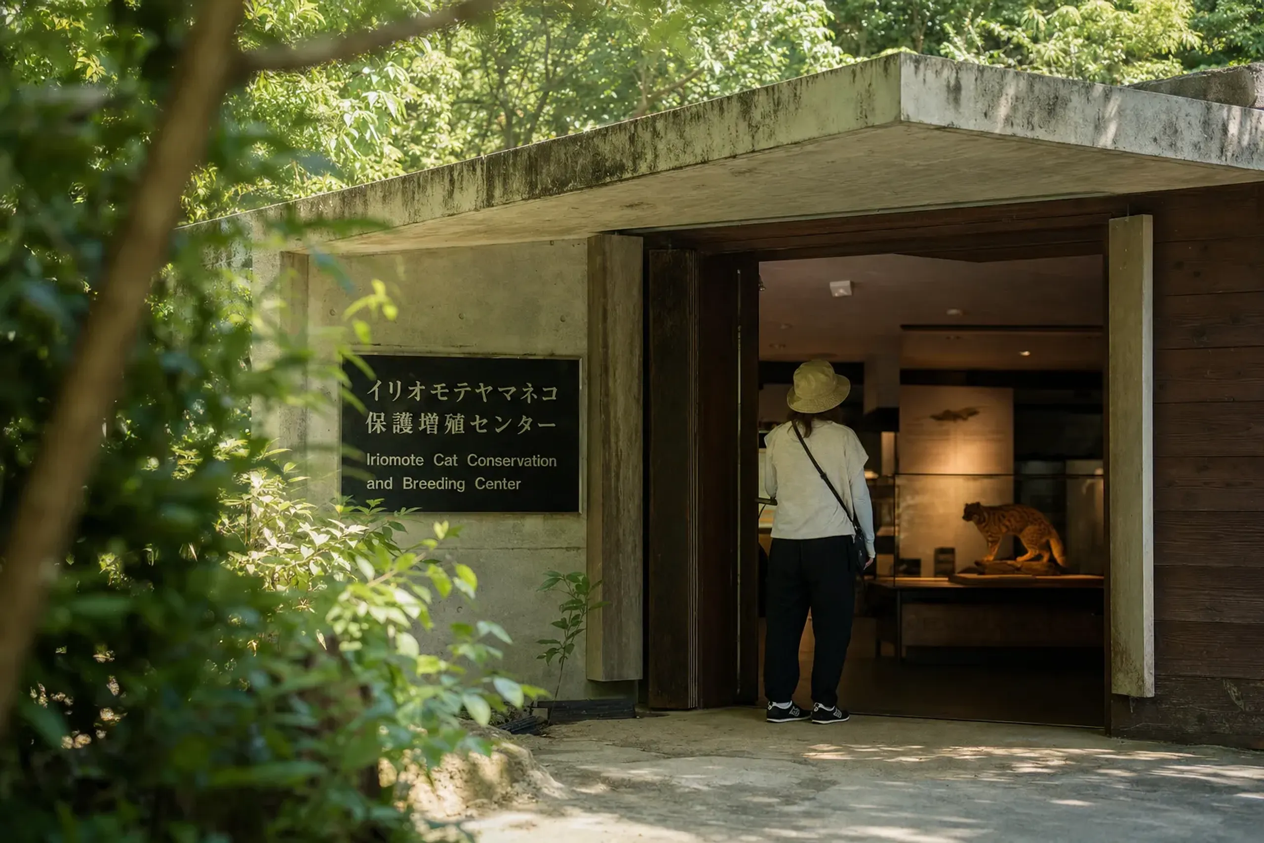 the Iriomote Wildlife Conservation Center building with its natural-history exhibit hall and English signage