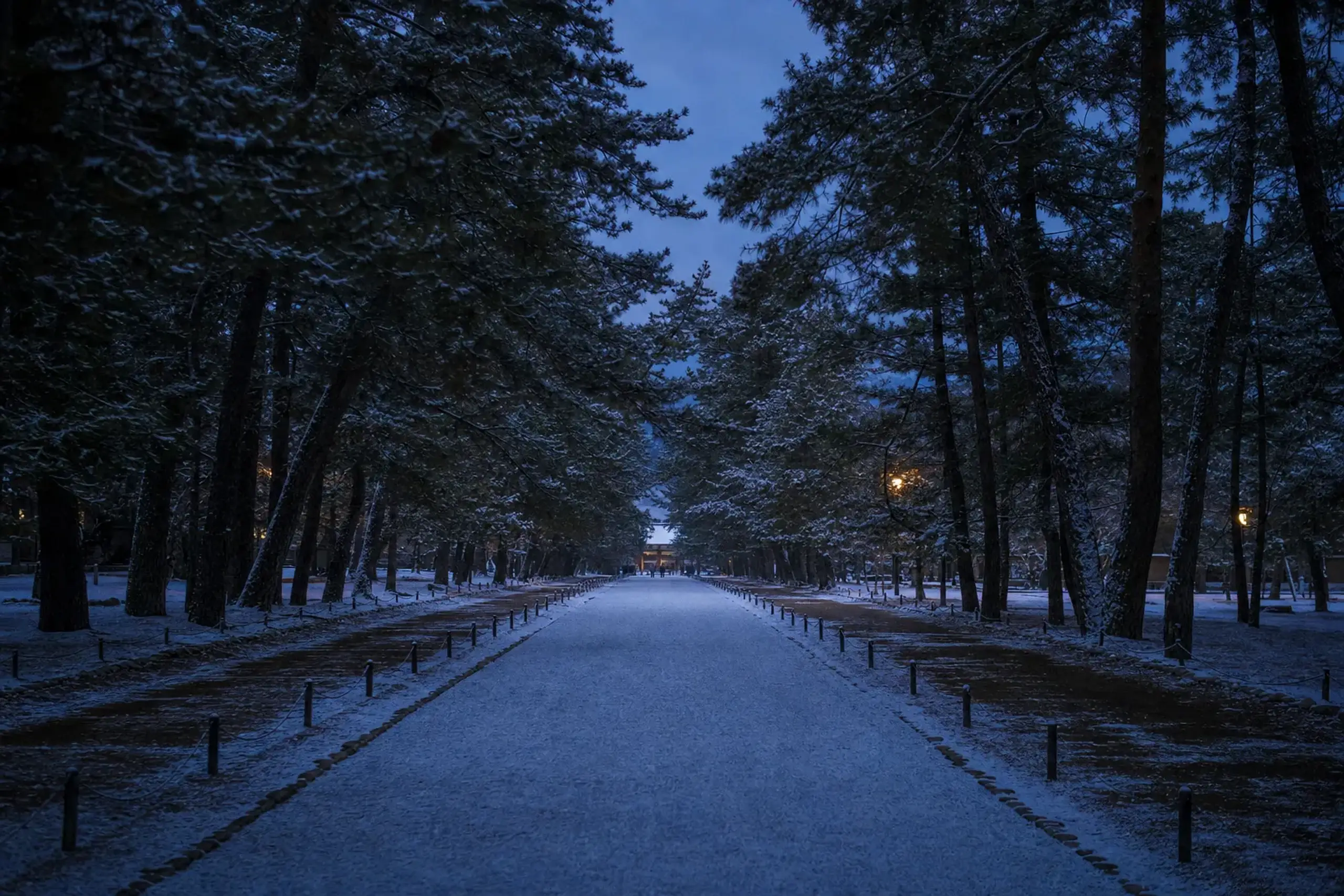 The pine-lined Matsu no Sando approach path at Izumo Taisha with its central lane left clear
