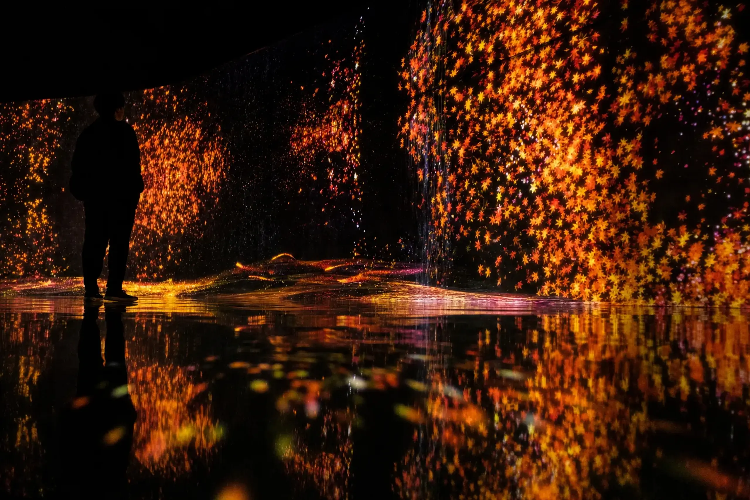 The immersive light installations of the Mori Building Digital Art Museum: Epson teamLab Borderless within Azabudai Hills
