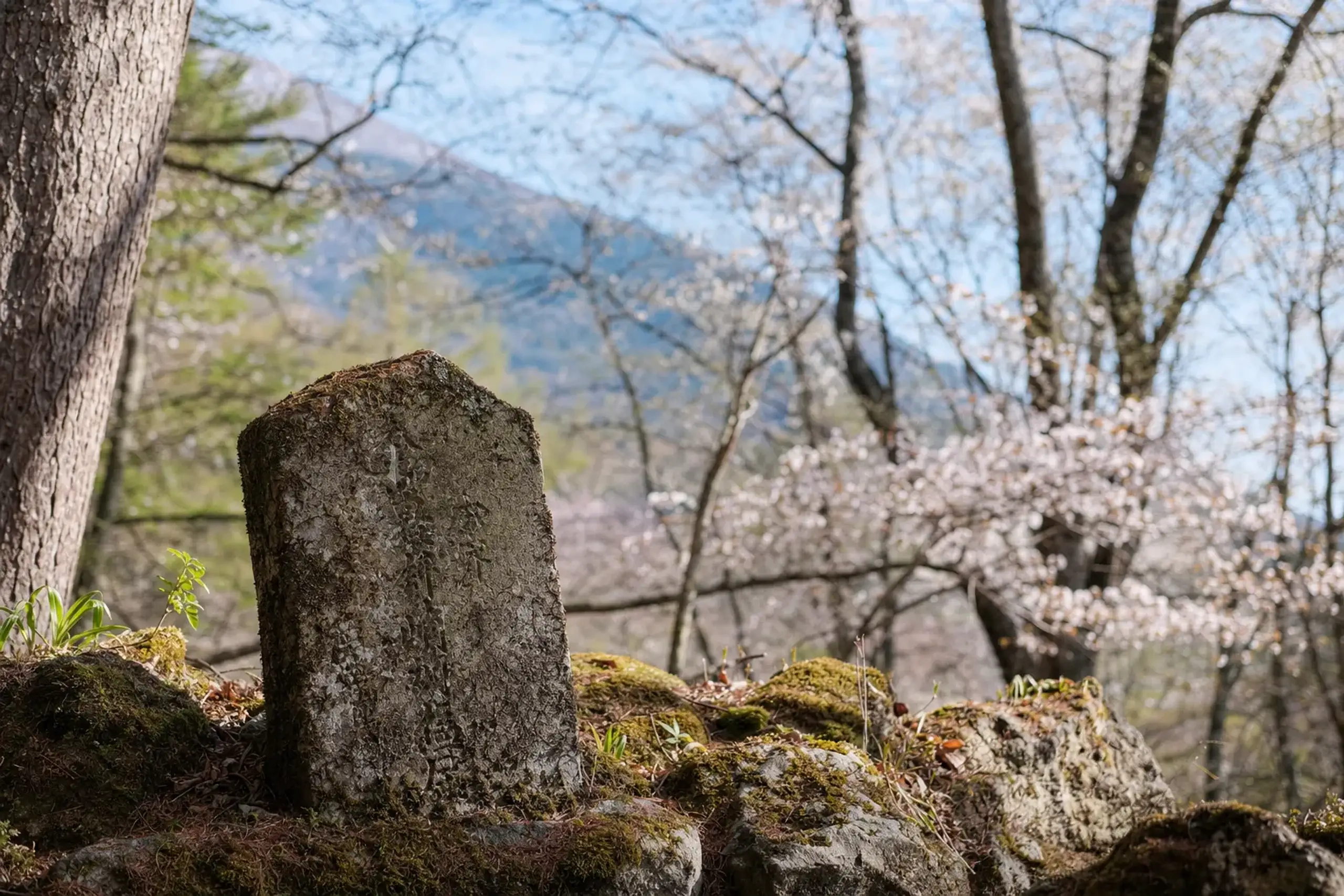 That history matters for the discerning traveler because it