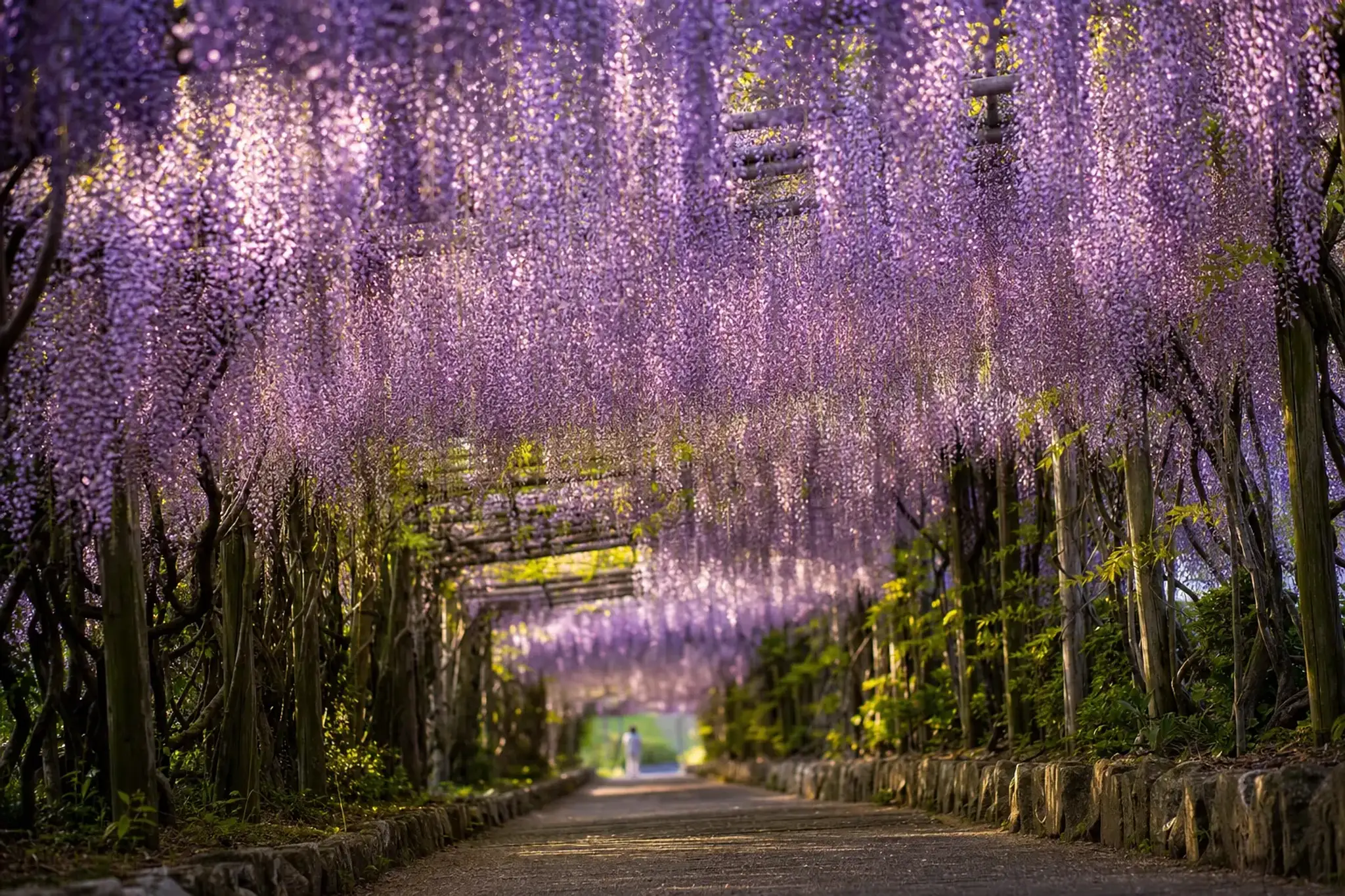 Then, in 2015, CNN named it among Japan's 31 most