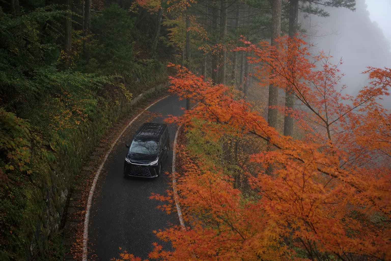 Luxury chauffeured minivan on the forested mountain road leading up to Kibune