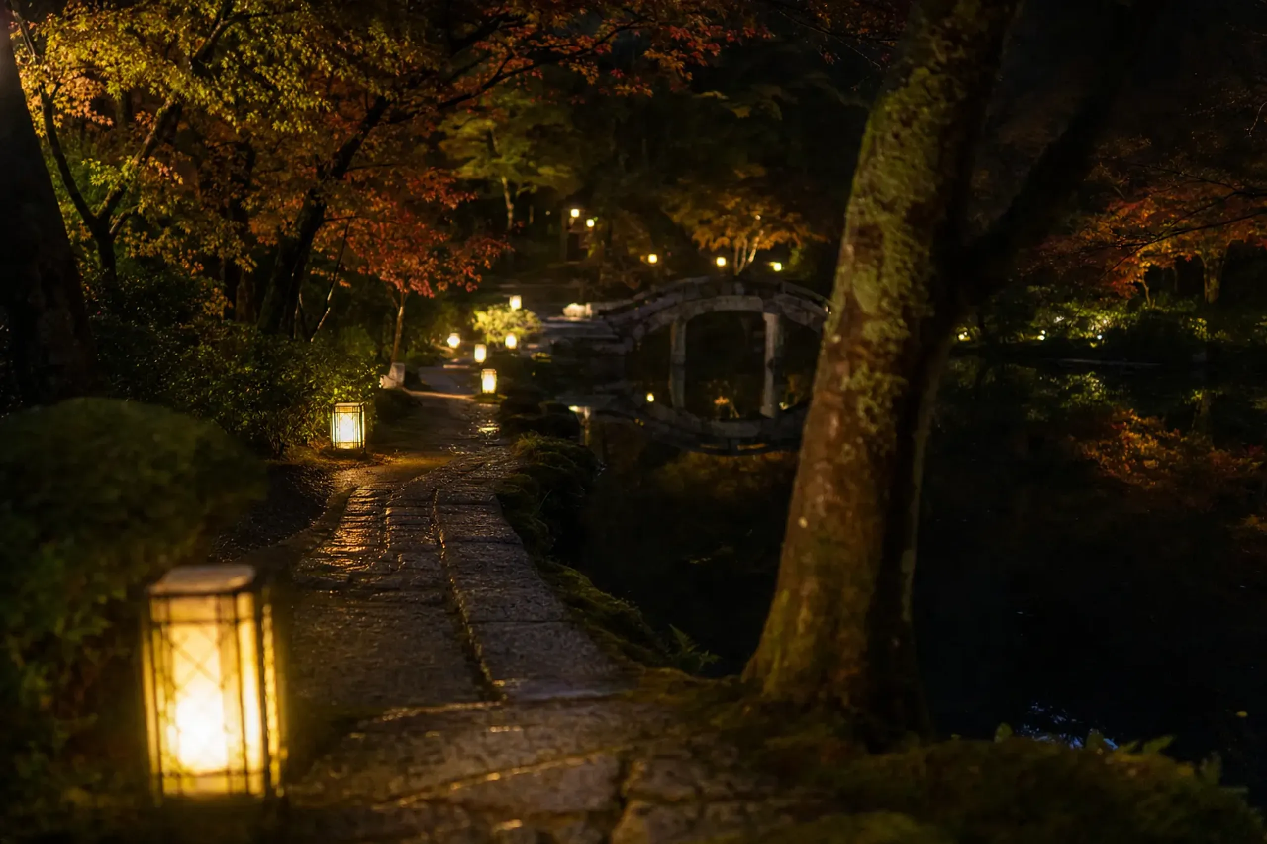 The lamplit strolling paths and pond of the normally-closed Jōju-in Garden at Kiyomizu-dera during its autumn evening opening