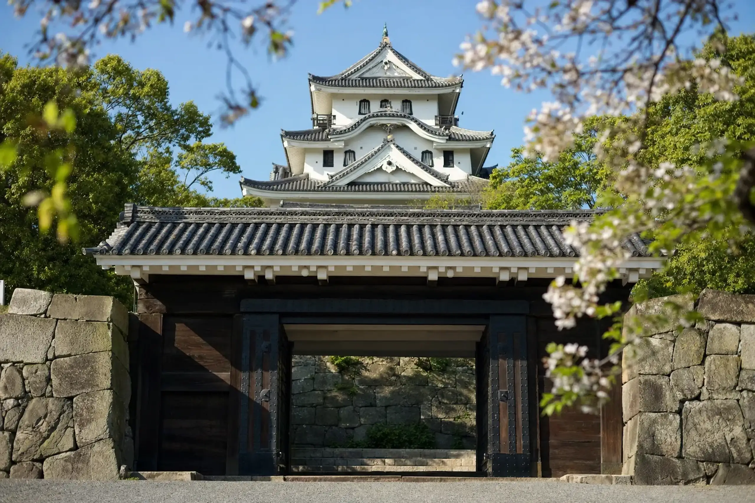 the Ōtemon main gate of Kōchi Castle with the white-plastered keep aligned and rising directly behind it, framed by cherry branches