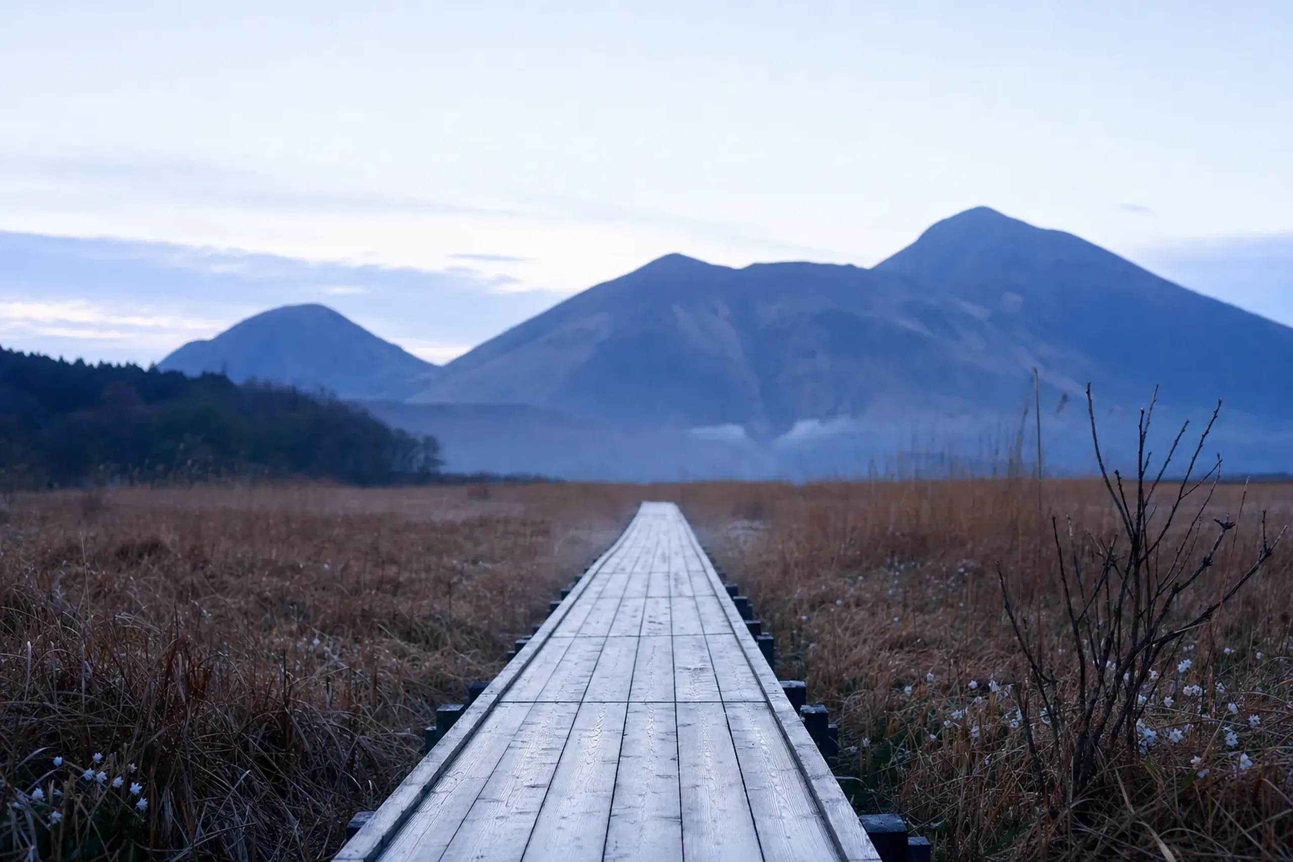 The wheelchair-accessible wooden boardwalk trail crossing Tadewara Marsh from the Chōjabaru Visitor Center, wetland grasses stretching toward the Kujū range