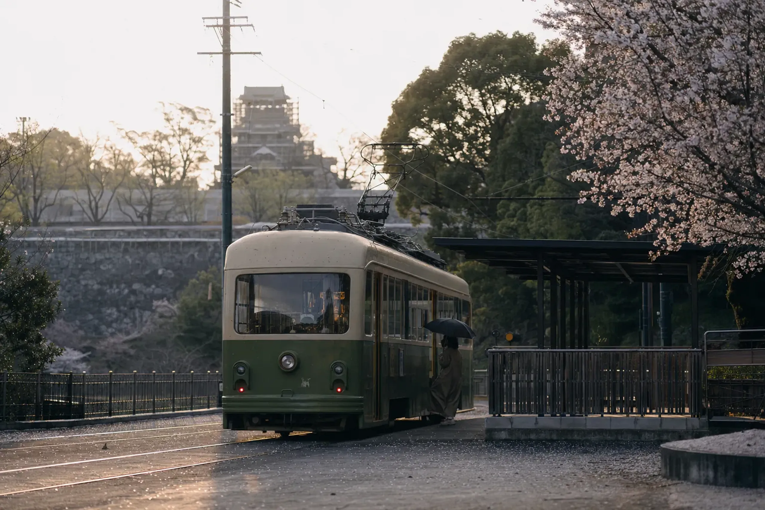 One practical note: local transport in Kumamoto has been des