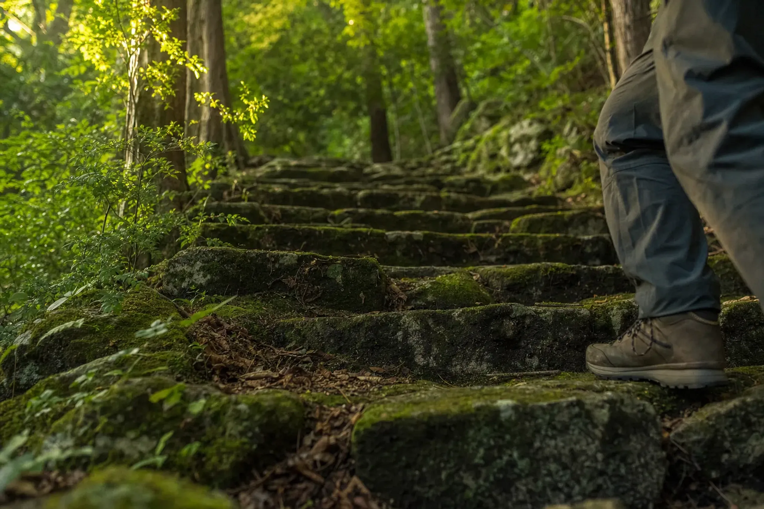 Uneven stone steps on a forest trail on the Kumano Kodo