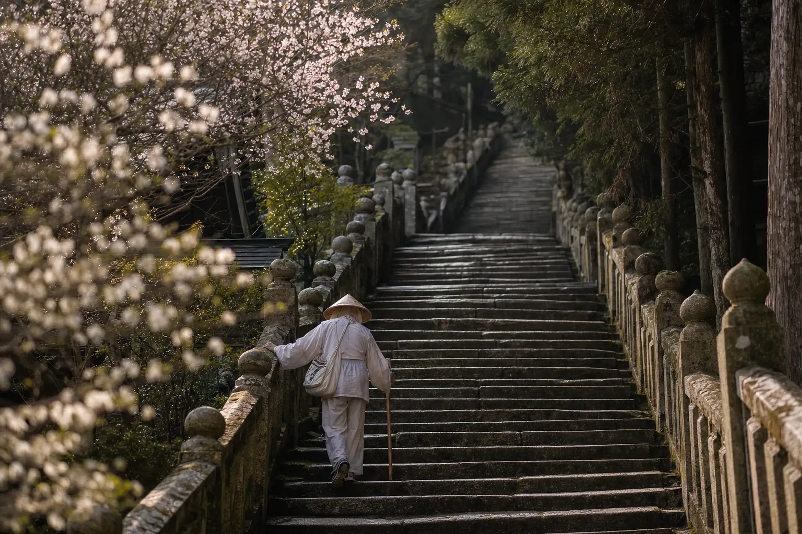The Omotesandō approach to Kunōzan Tōshō-gū includes 1,159 s