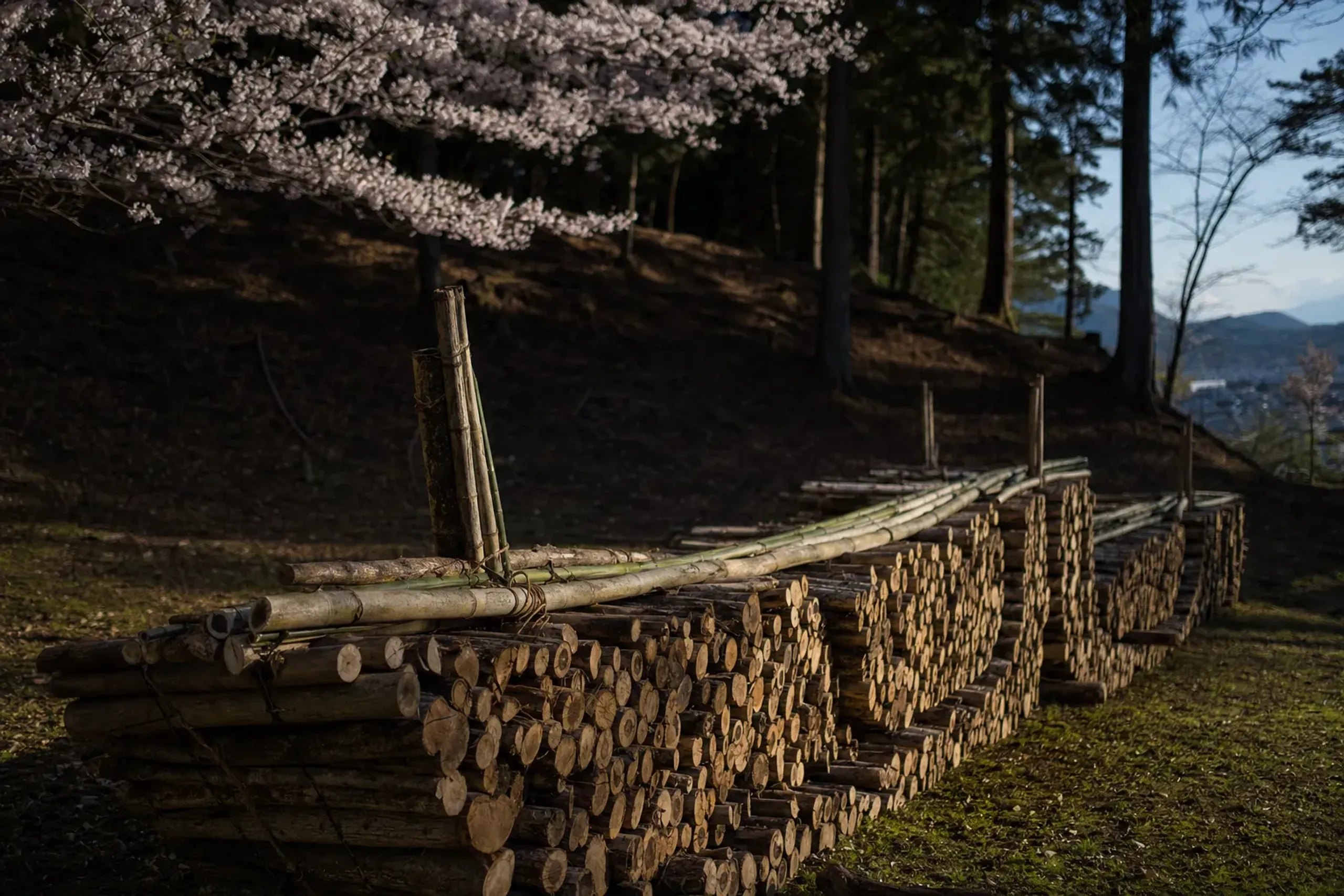 Stacked bundles of firewood arranged in the shape of the Funagata (boat) bonfire on the dark hillside of Nishigamo, unlit and awaiting ignition