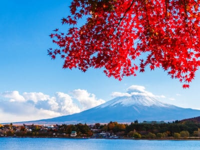 Mt. Fuji in autumn