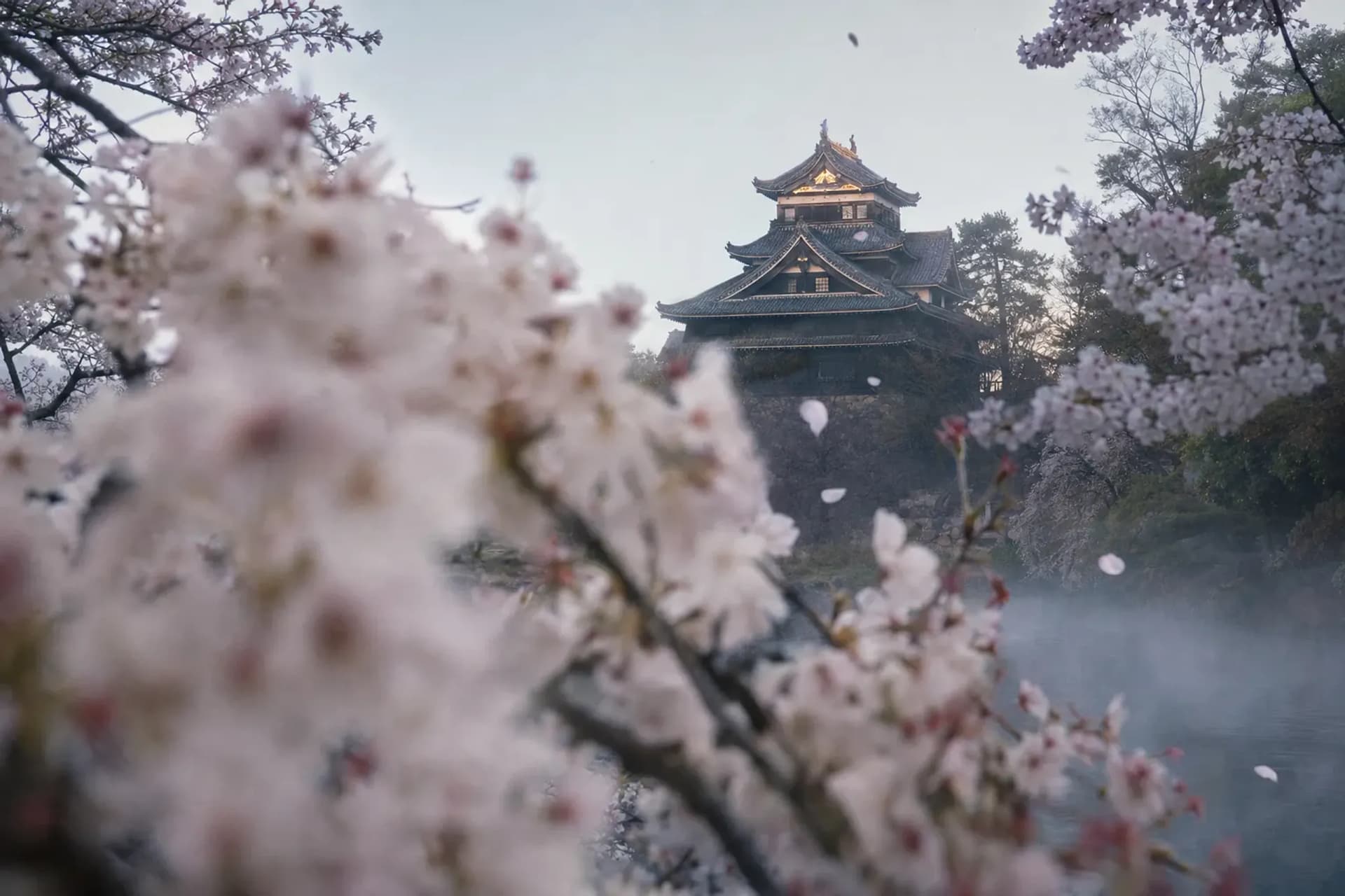 Matsue Castle: A National Treasure Saved by a Tablet