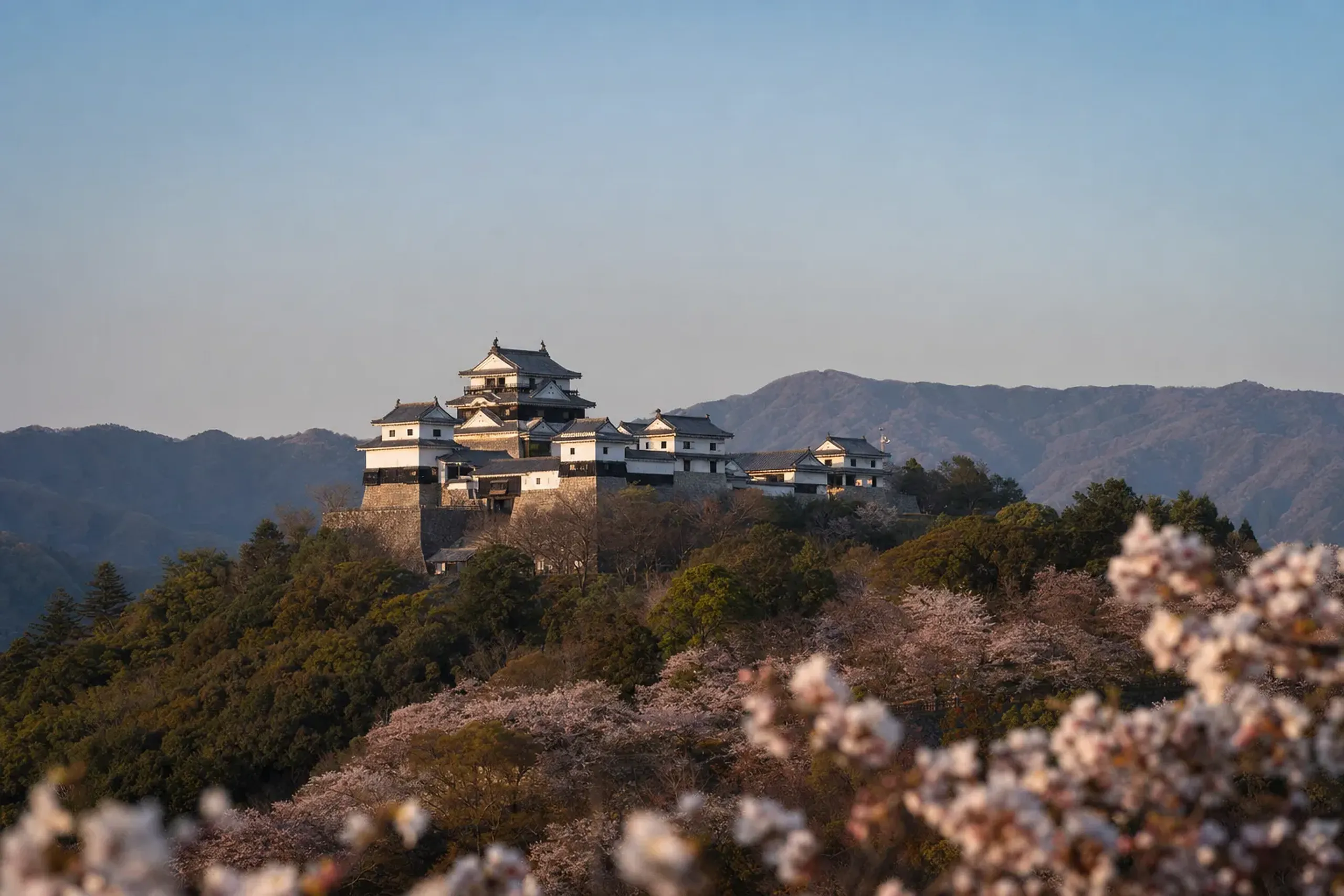 The linked-tower keep of Matsuyama Castle on Mount Katsuyama, built by the Matsudaira shinpan daimyō family, seen against a clear afternoon sky