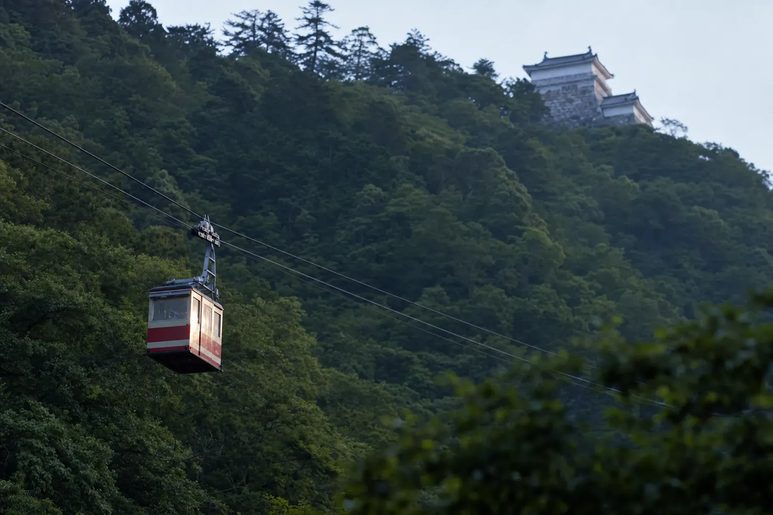 The Matsuyama Castle ropeway cabin ascending the wooded slope of Mount Katsuyama toward the keep