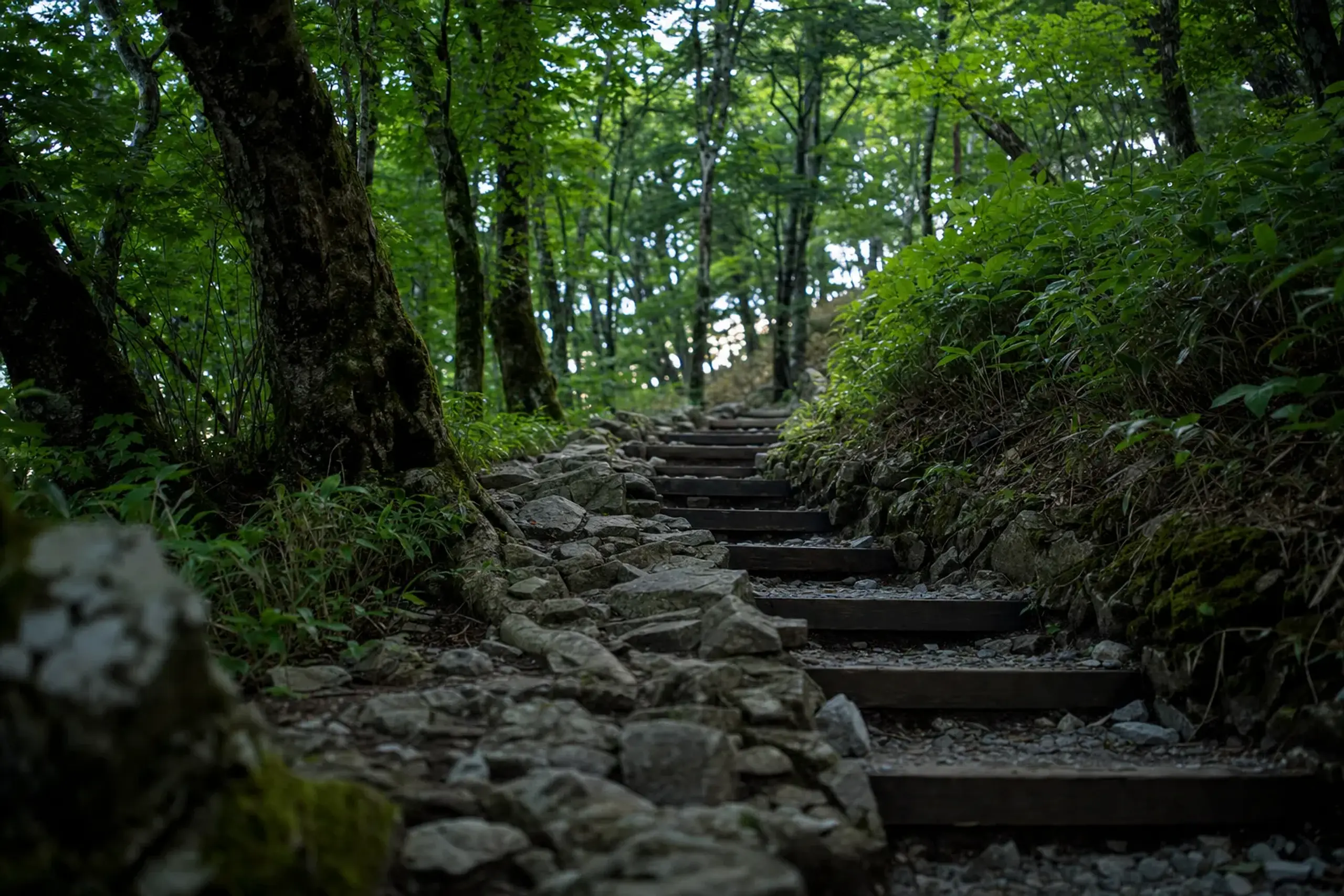 the well-maintained steep stone-and-timber steps of the Natsuyama Tozandō trail climbing from the Nankō-Kawara parking area