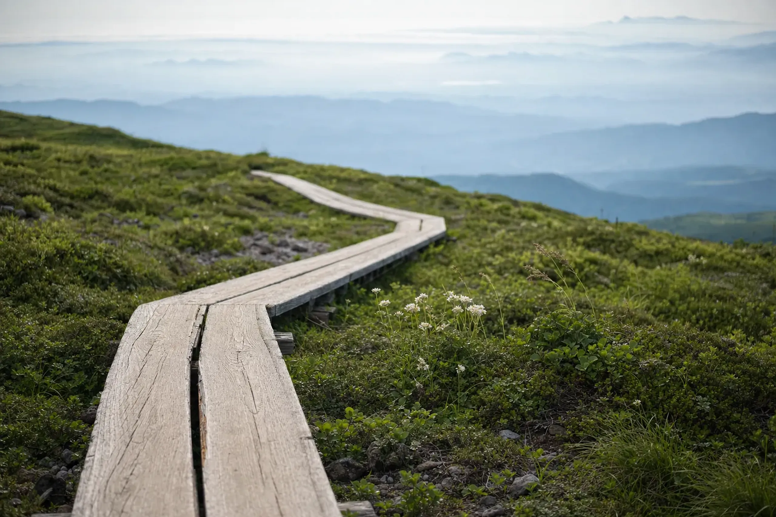 the wooden boardwalk path winding across the vegetation-protected summit plateau of Mt. Daisen