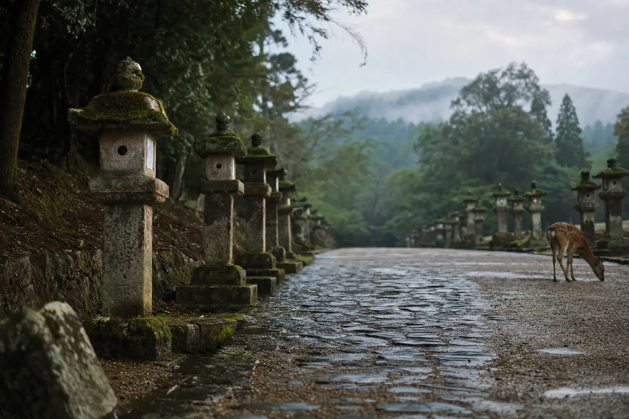 the eastern approach path into Nara Park, lined with stone lanterns leading toward the greenery and distant hills