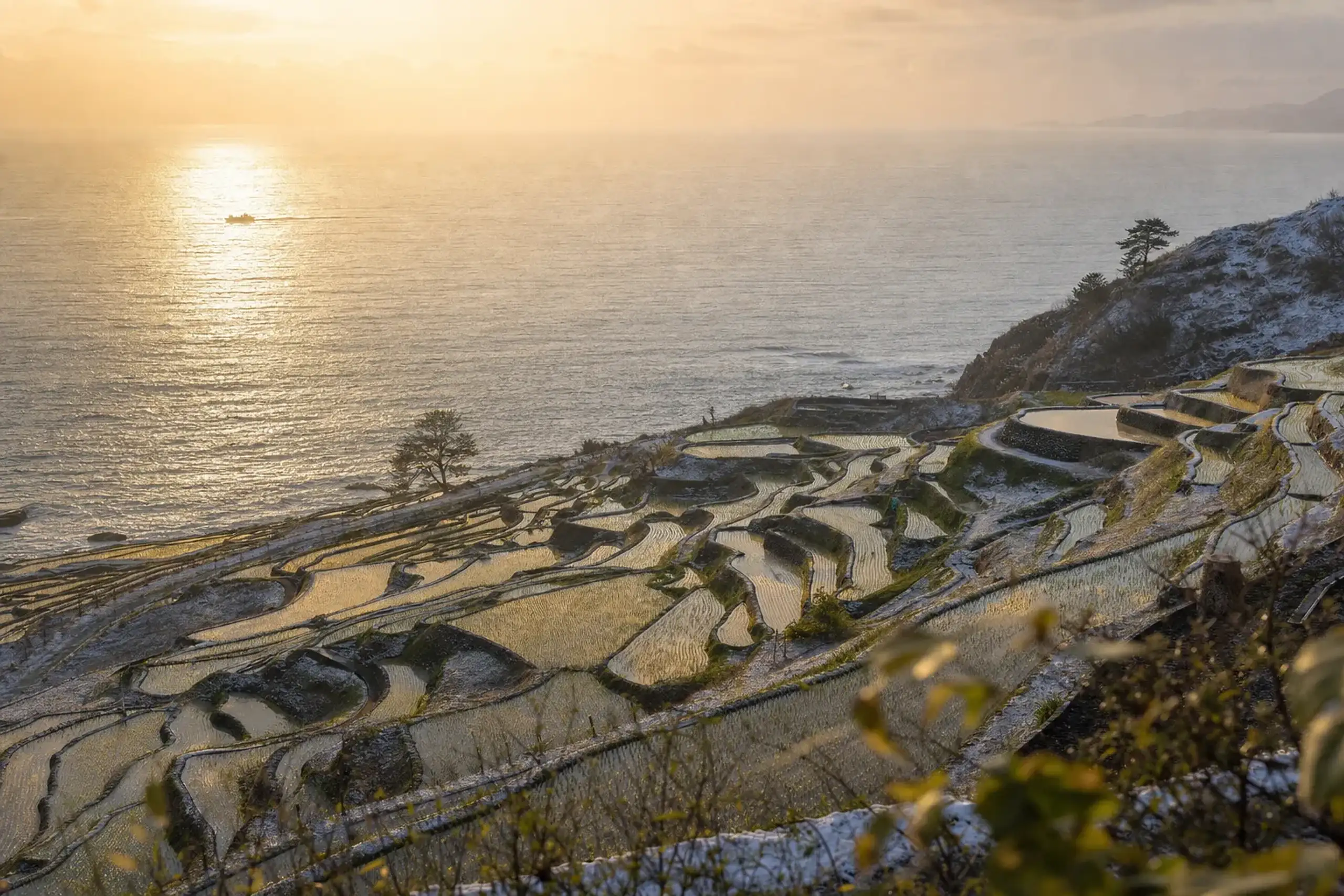 the cliffside cascading rice terraces of the Noto Peninsula overlooking the Sea of Japan