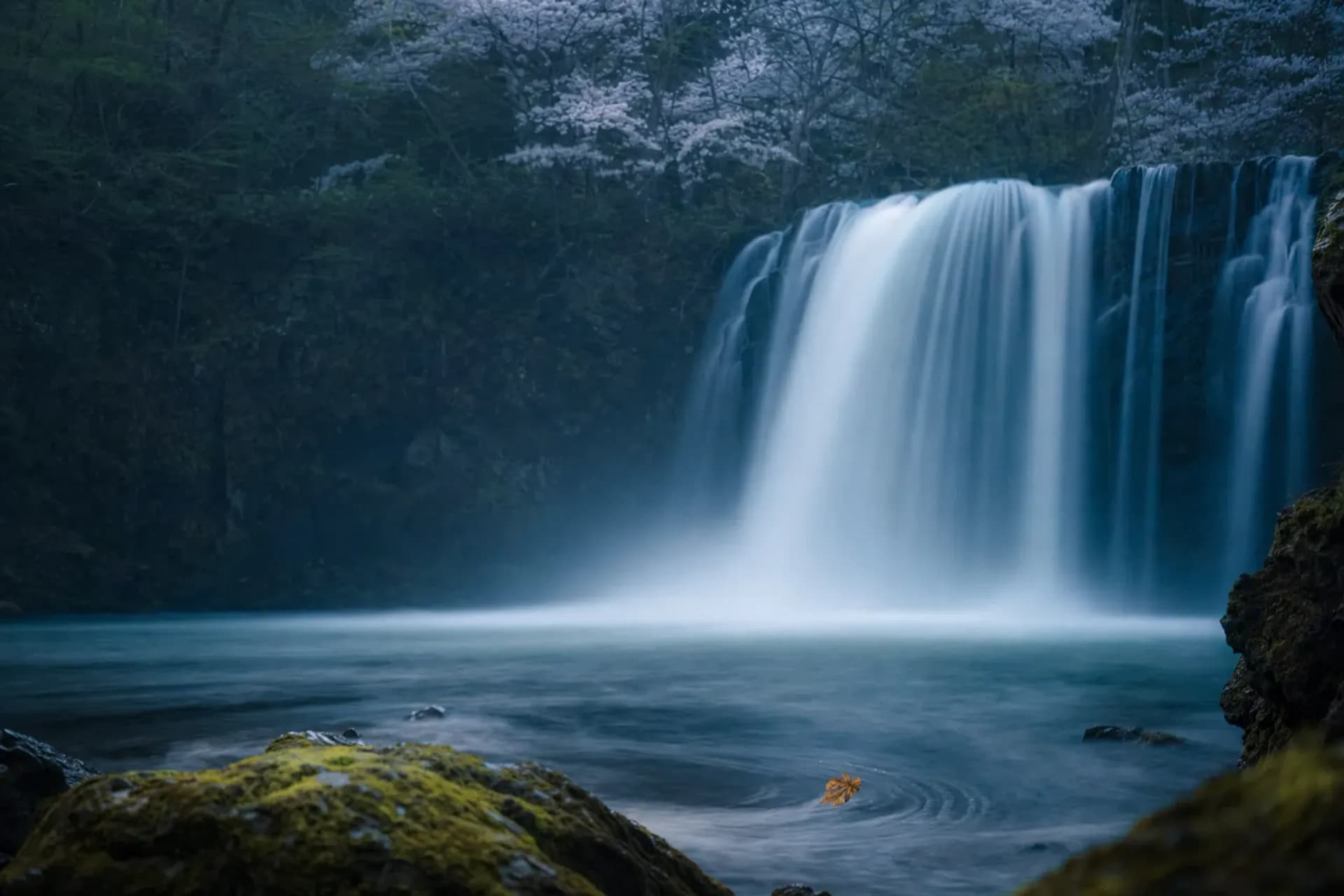 Summer at Lake Towada: The Waterfall That Kept Fish Out