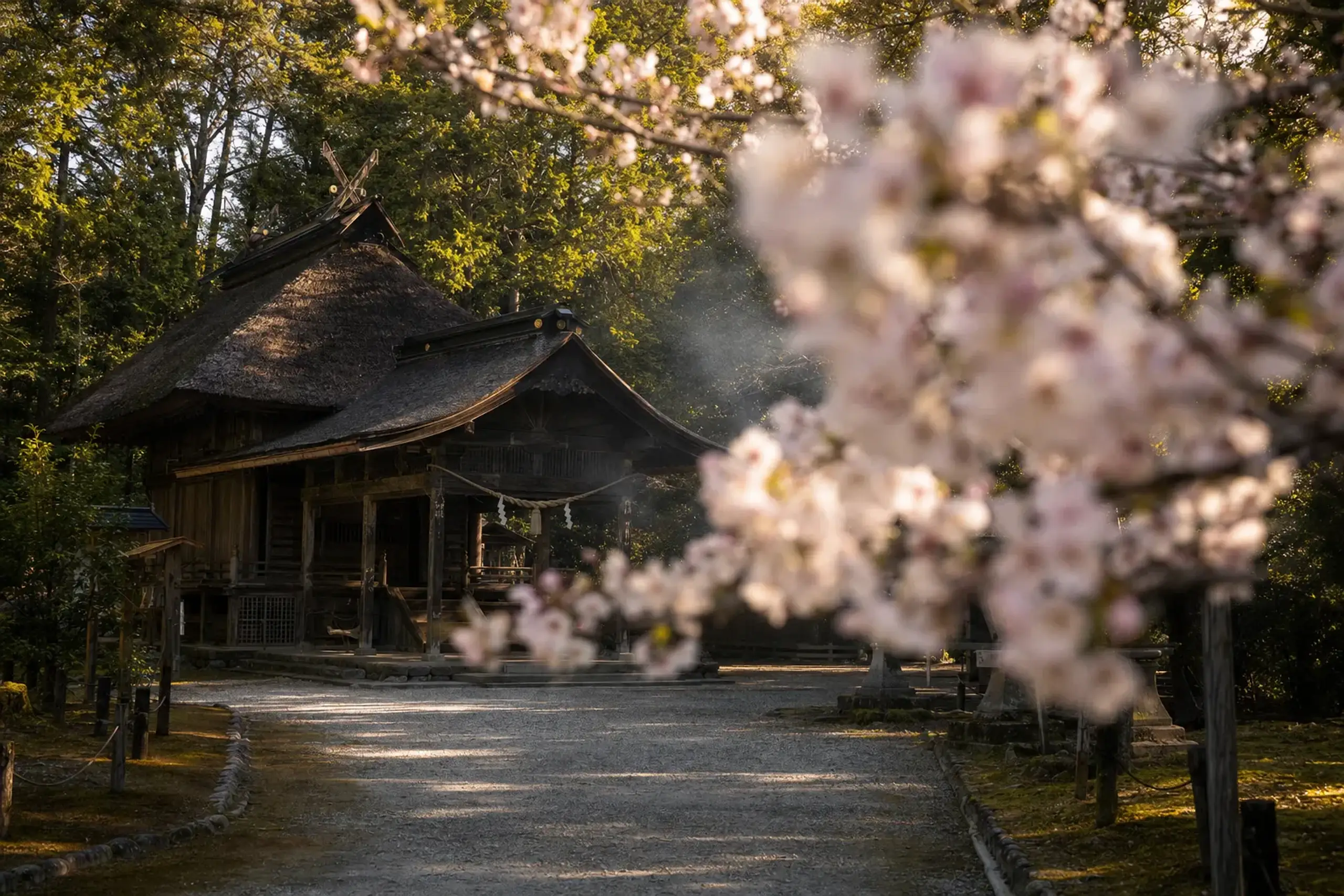 the main hall of Hetsu-miya shrine on the Kyushu mainland, the welcoming starting point of the Munakata Taisha pilgrimage