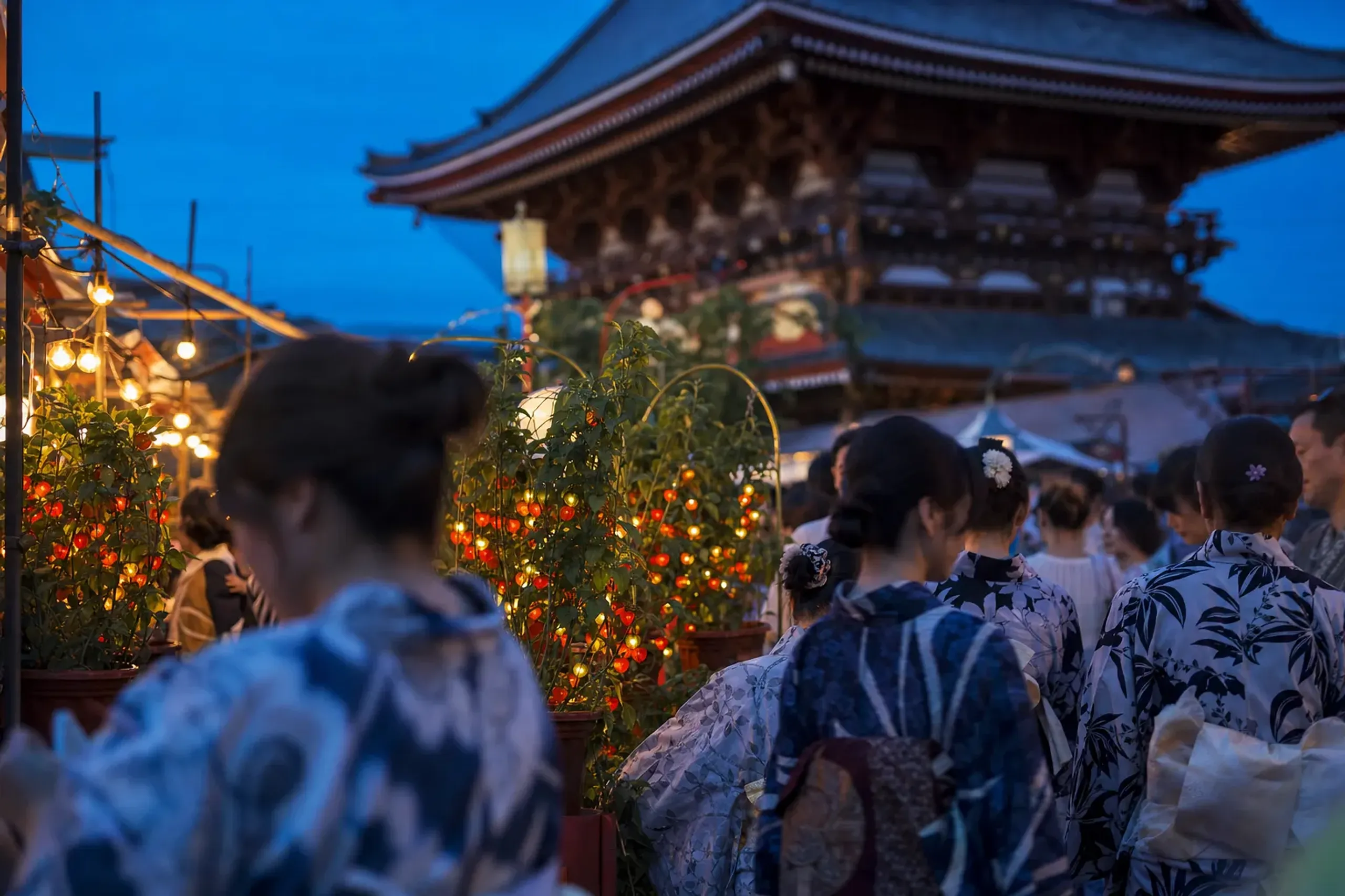 A crowd of Edo-style summer visitors in cotton yukata packed among the hozuki stalls beneath the main hall of Sensō-ji at dusk