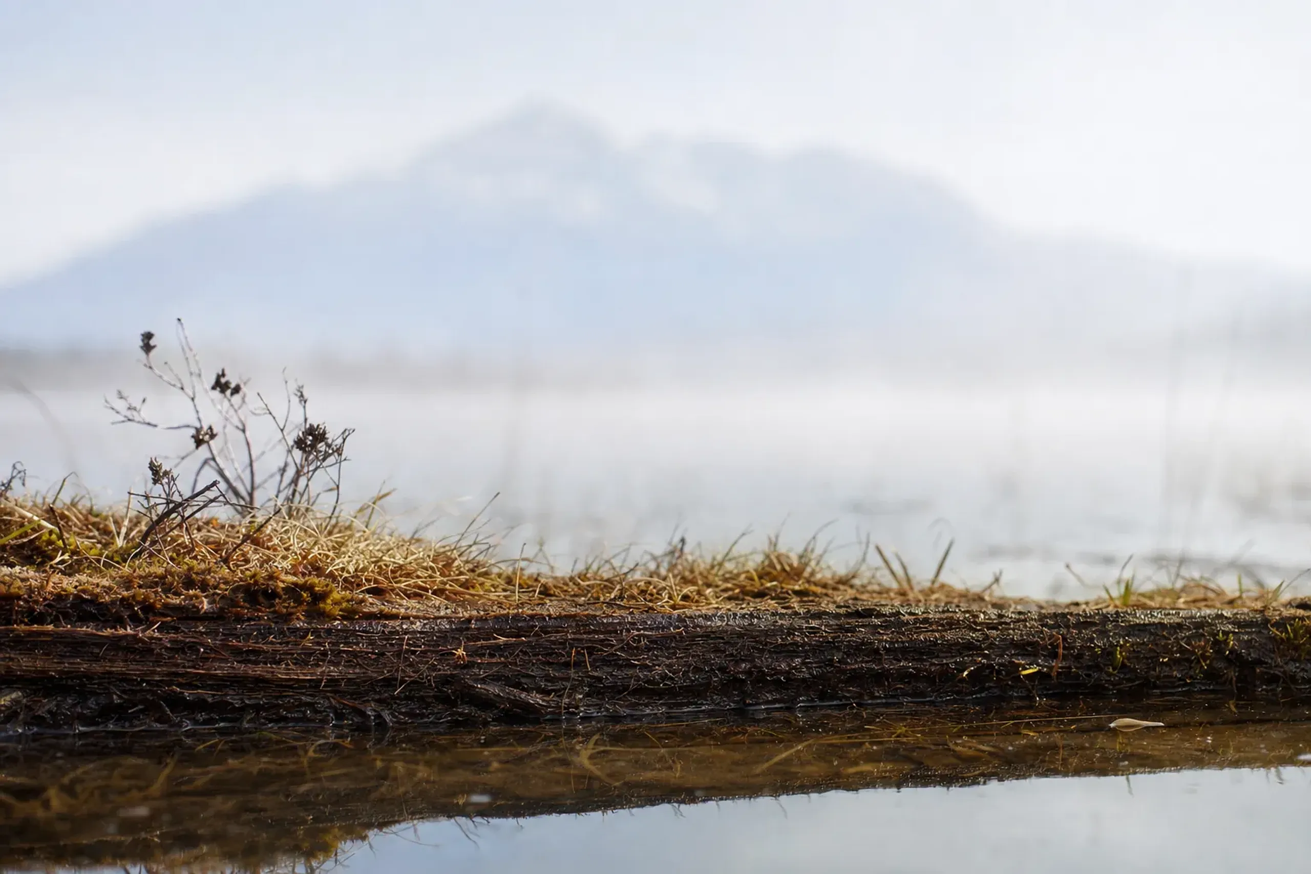 Peat builds slowly here—under 1 mm per year. At the