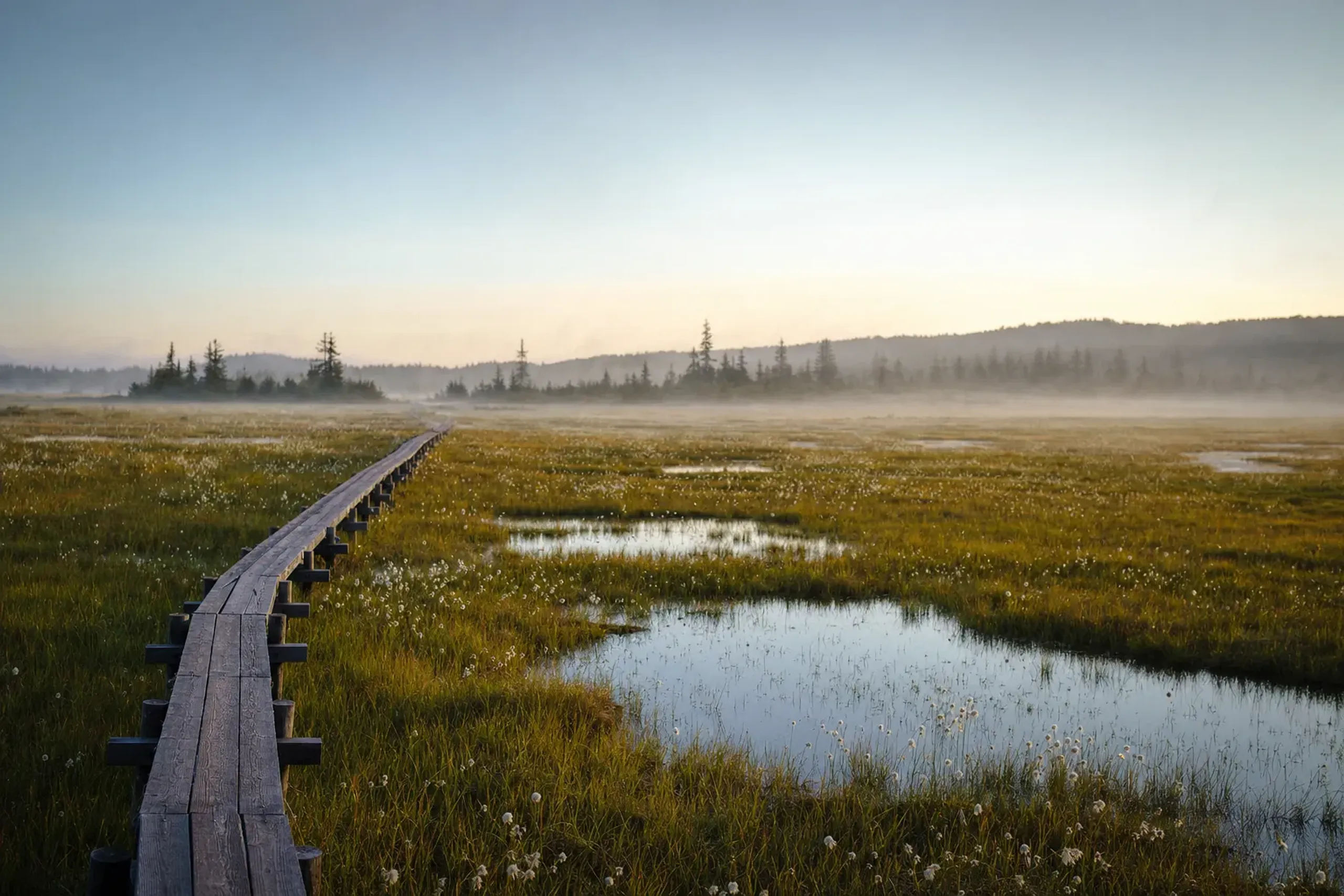 Oze is also a Ramsar wetland site (registered in November