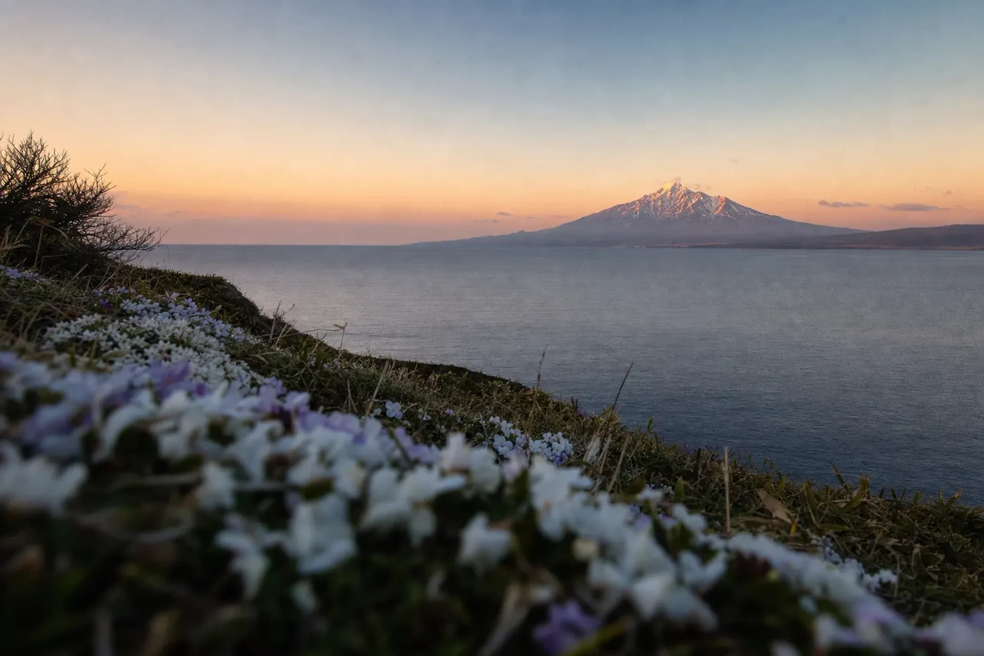 Rishiri and Rebun Islands: Private Hikes & Rare Alpine Flowe