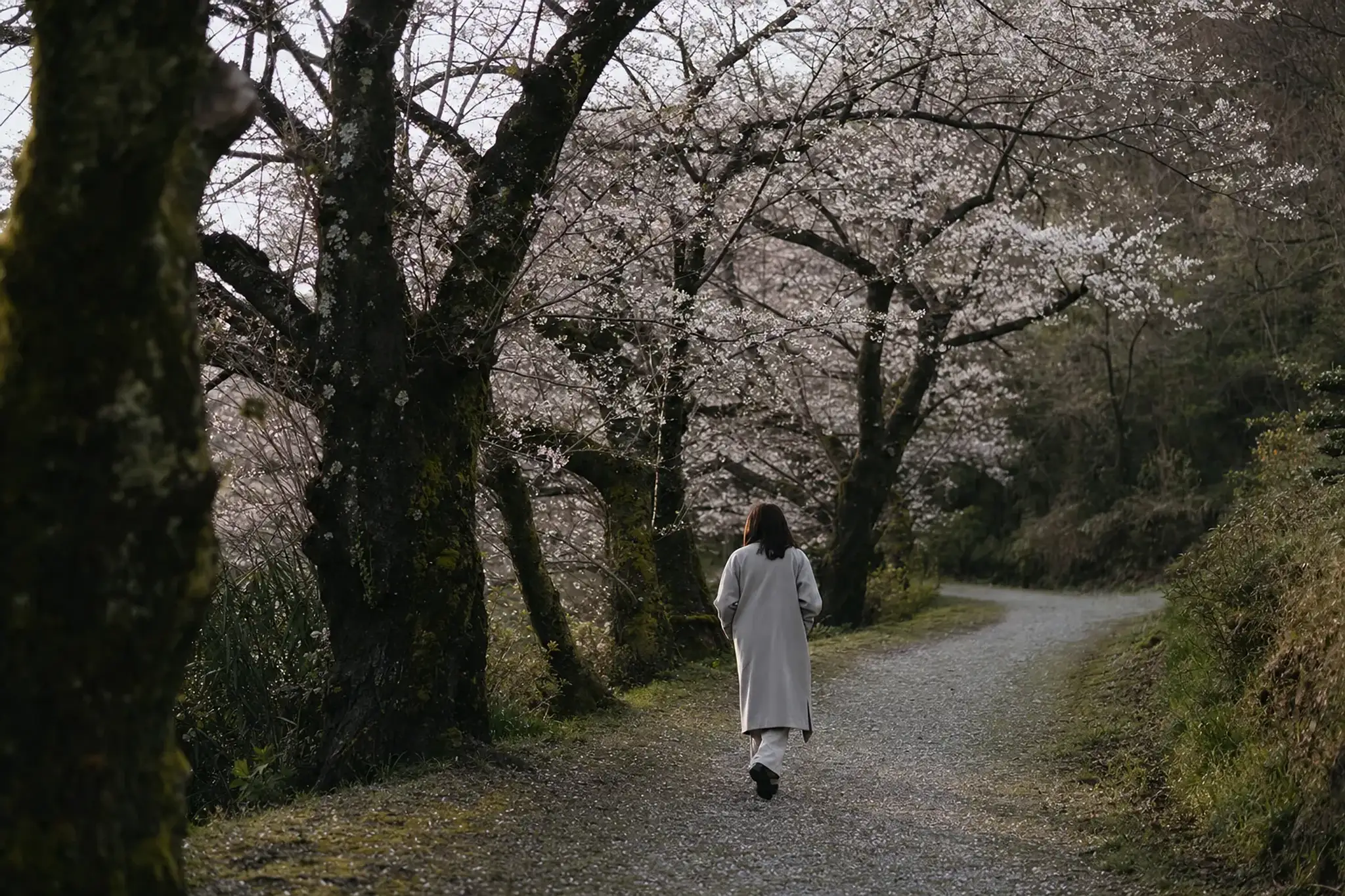 We suggest arriving with enough margin to walk slowly, photo