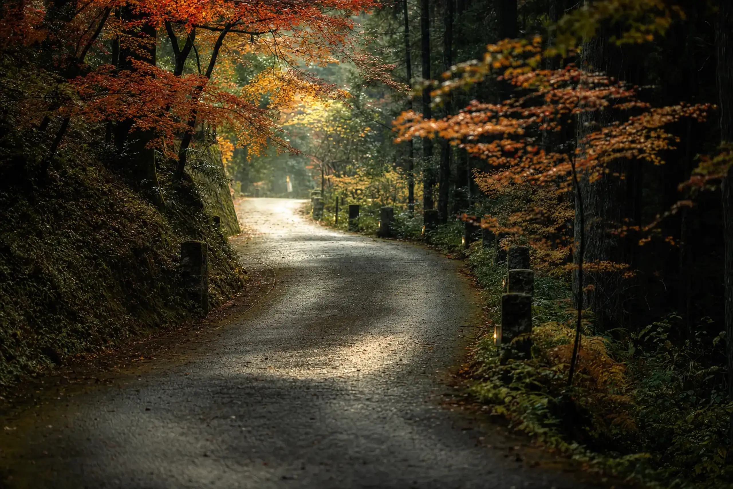 a quiet approach road climbing the wooded Torigoe hillside toward Sanso Murata in Yufu City, Ōita