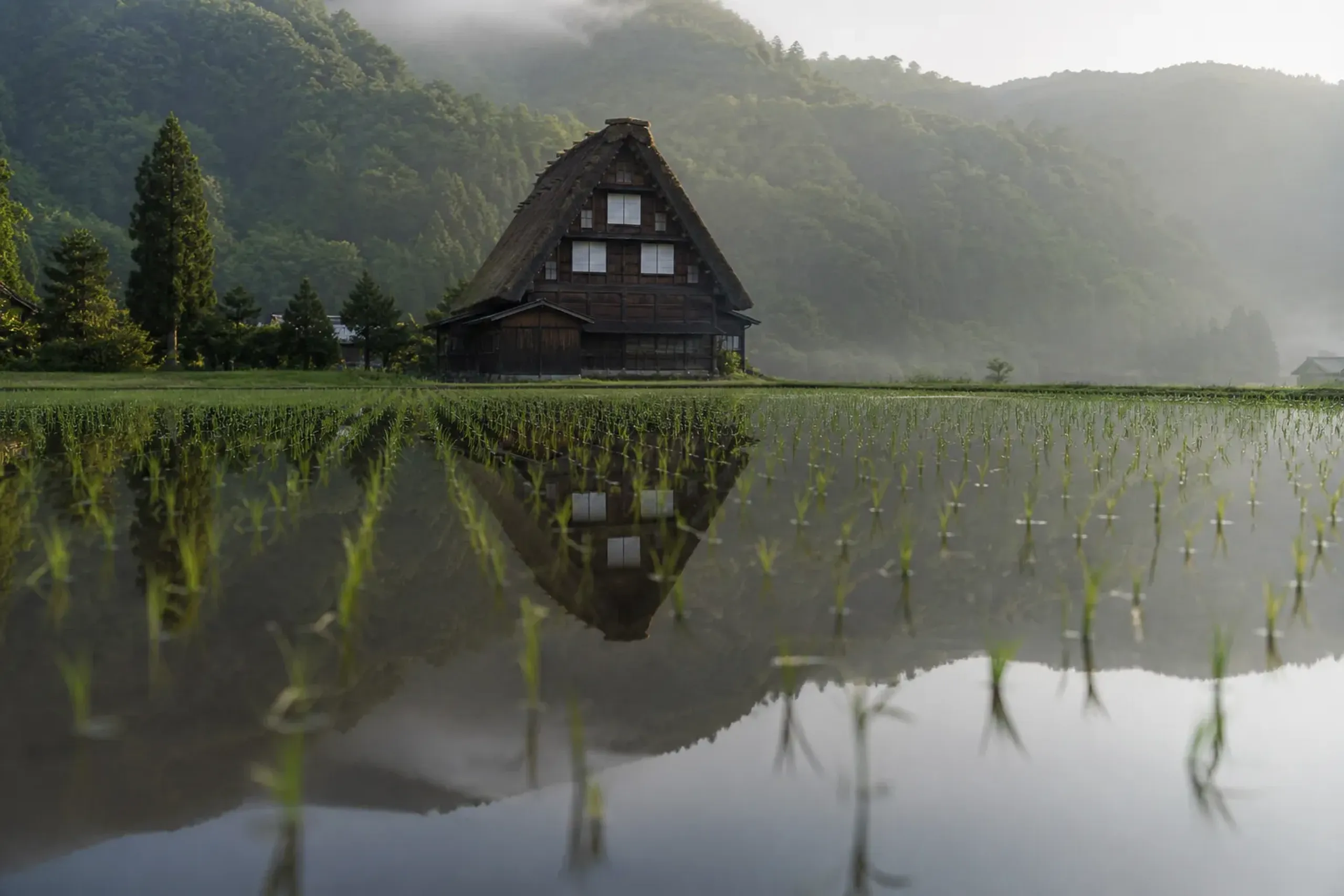 the flooded, mirror-bright rice paddies of Ogimachi reflecting the thatched gasshō houses and fully green surrounding hills in late May