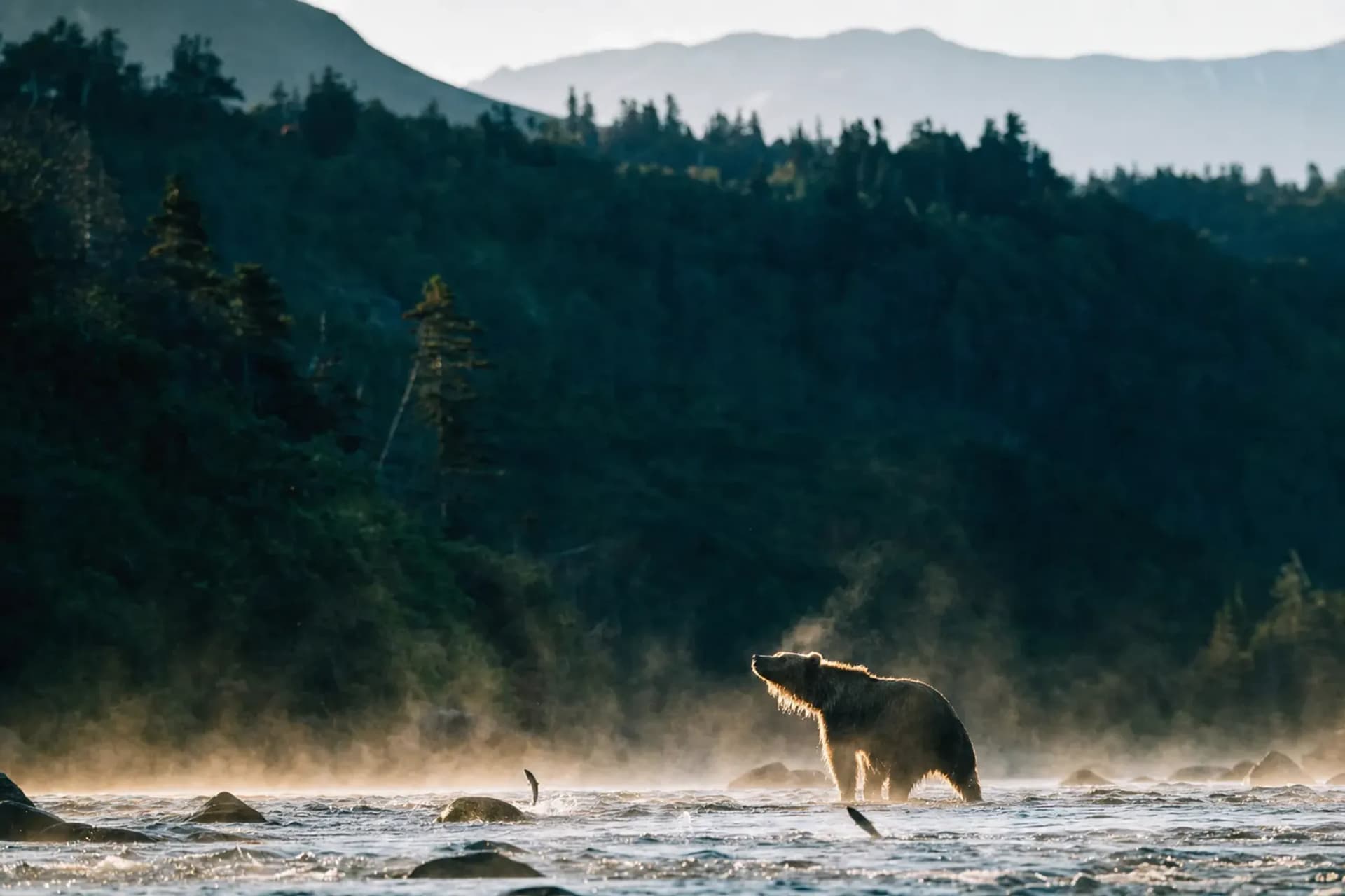 Shiretoko: Two Seasons, One of Japan's Wildest Places