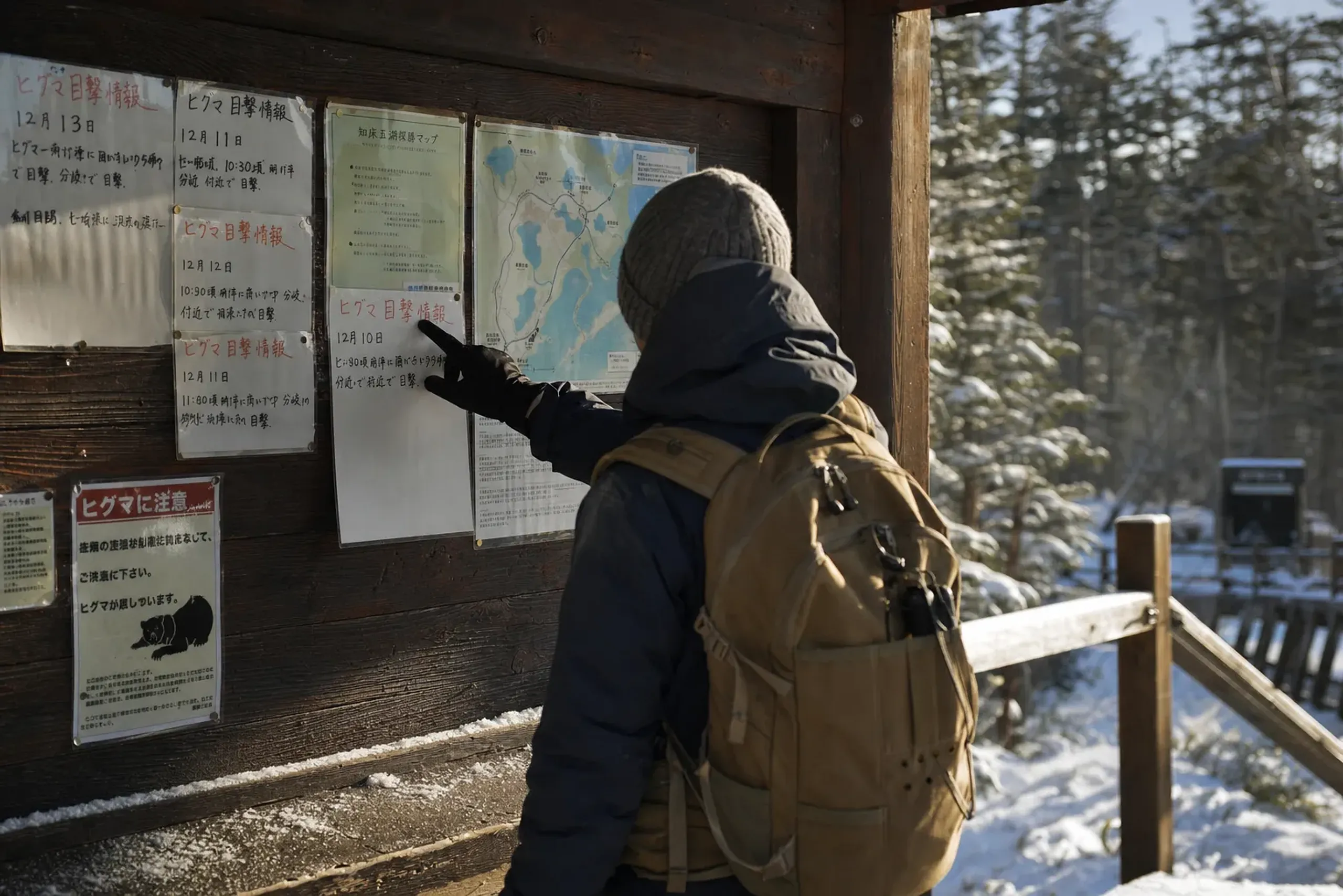 Check current sighting information before you set out, and r