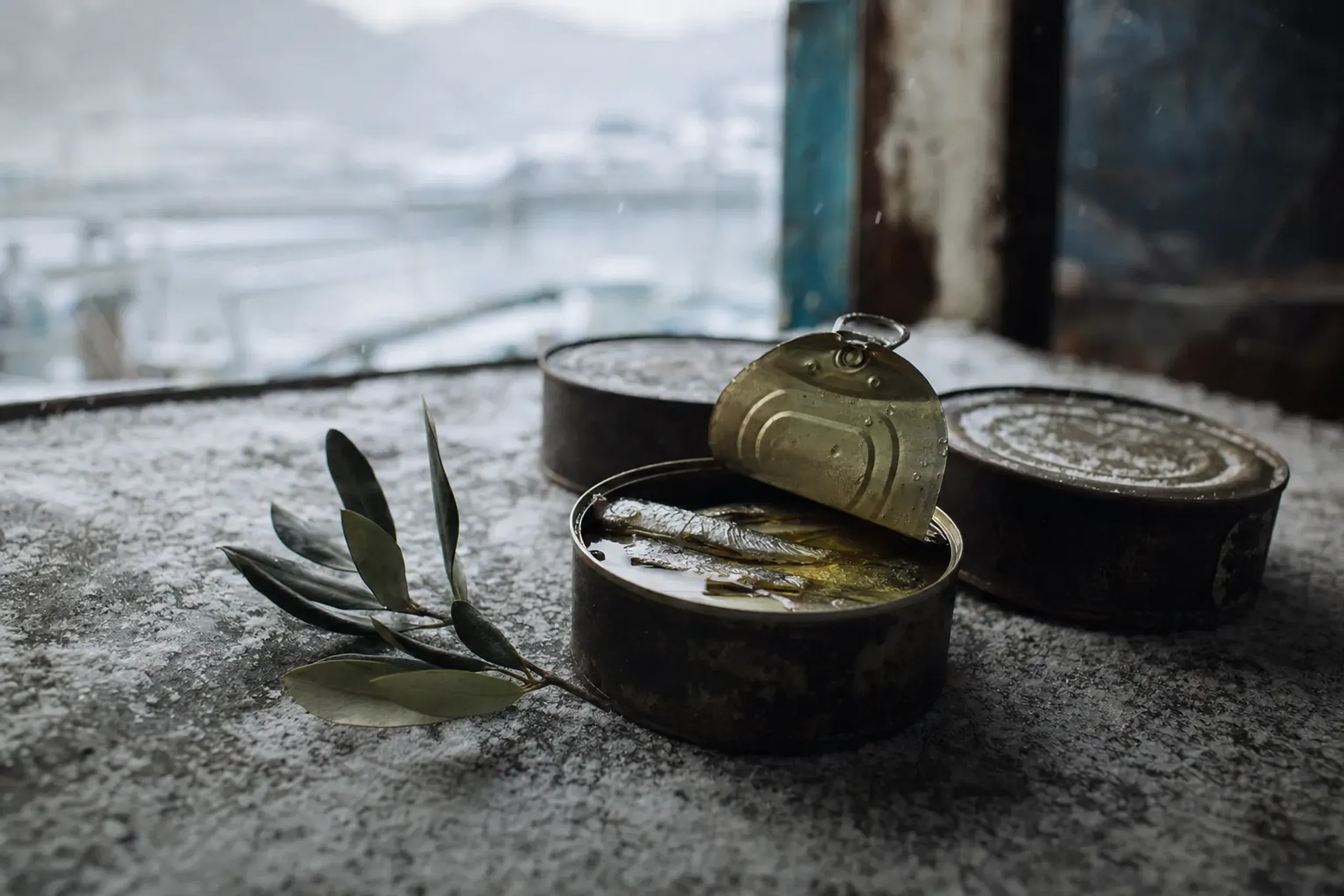 vintage early-20th-century tin cans of preserved mackerel packed in olive oil, arranged on a weathered wooden cannery table