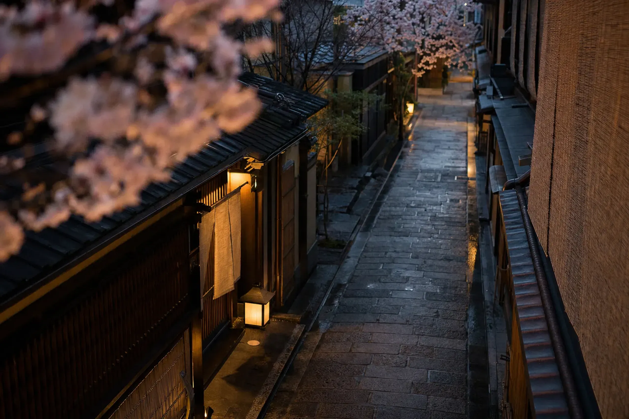 the narrow Fuyachō-dori lane in central Kyoto lined with the discreet wooden facades of the Gosanke ryokan houses