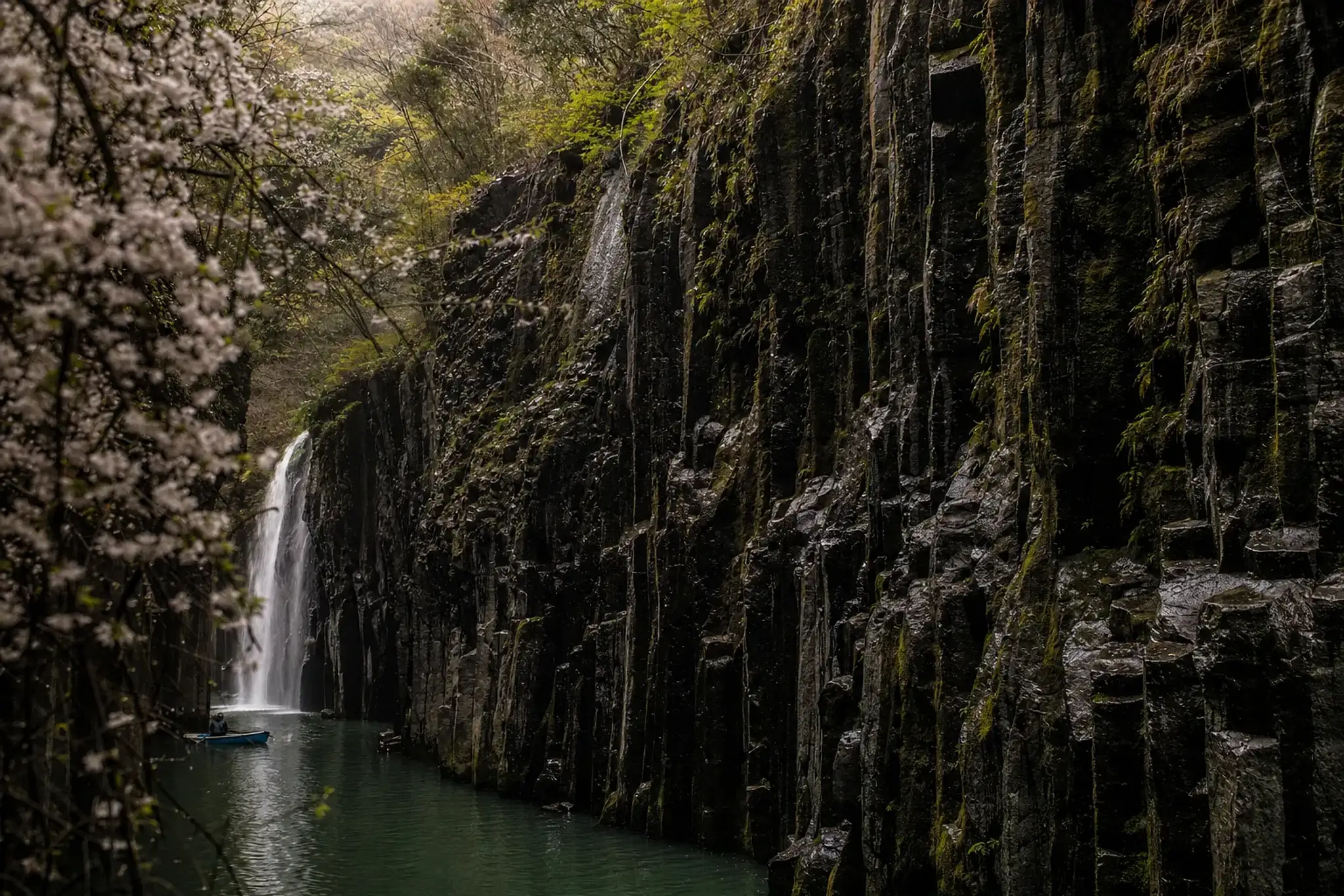 the vertical columnar-jointing basalt cliffs of Takachiho Gorge rising directly from the Gokase River, dark and wet after rain