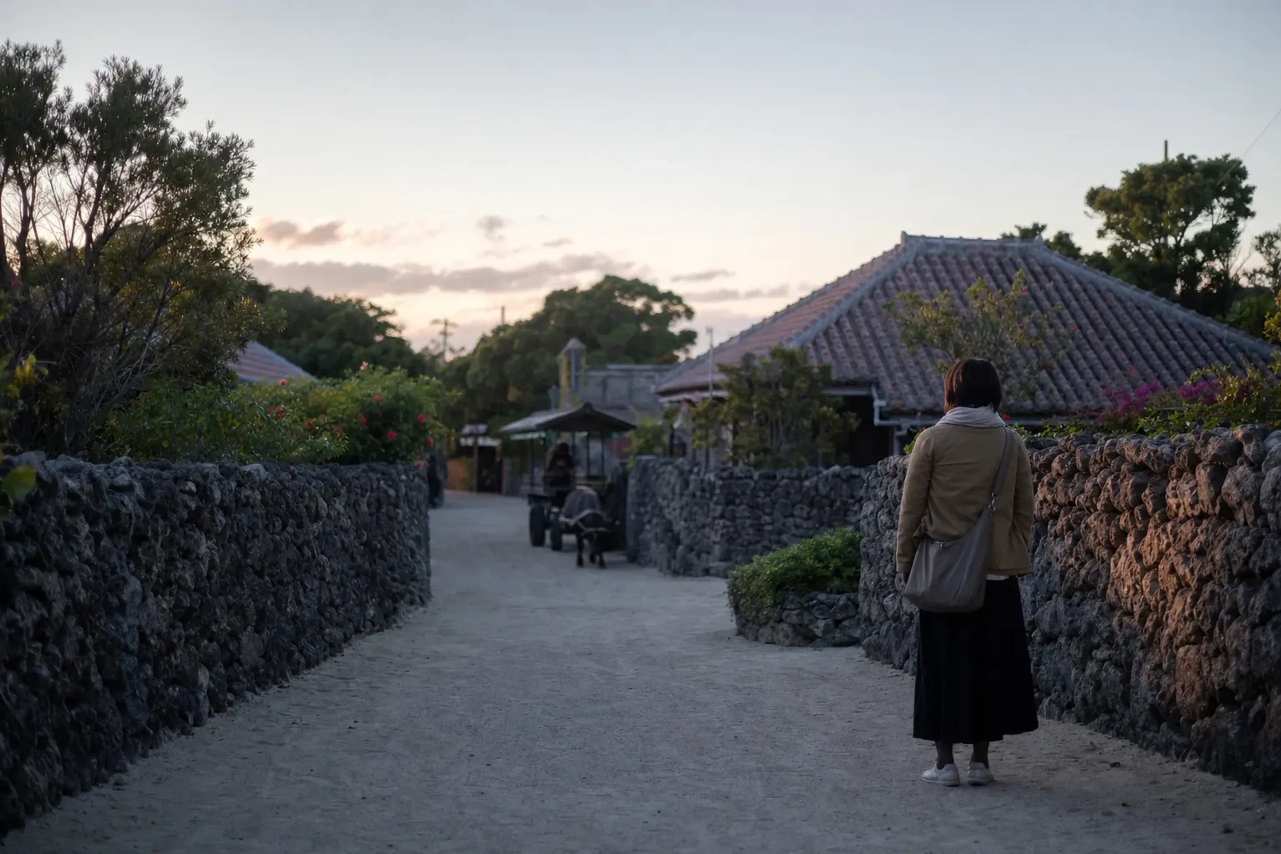 Taketomi and Iriomote reward travellers who arrive with the