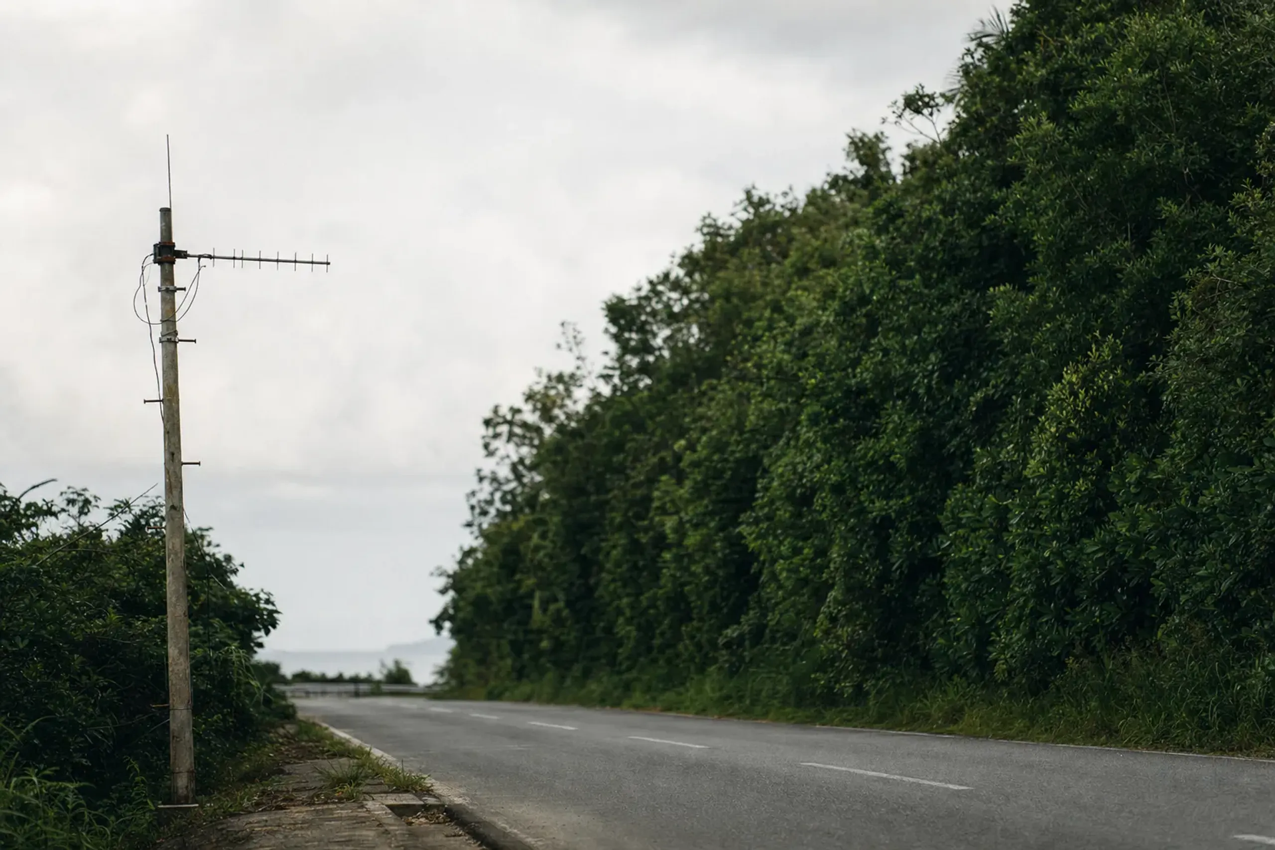 Keep your expectations realistic as well: mobile signal can